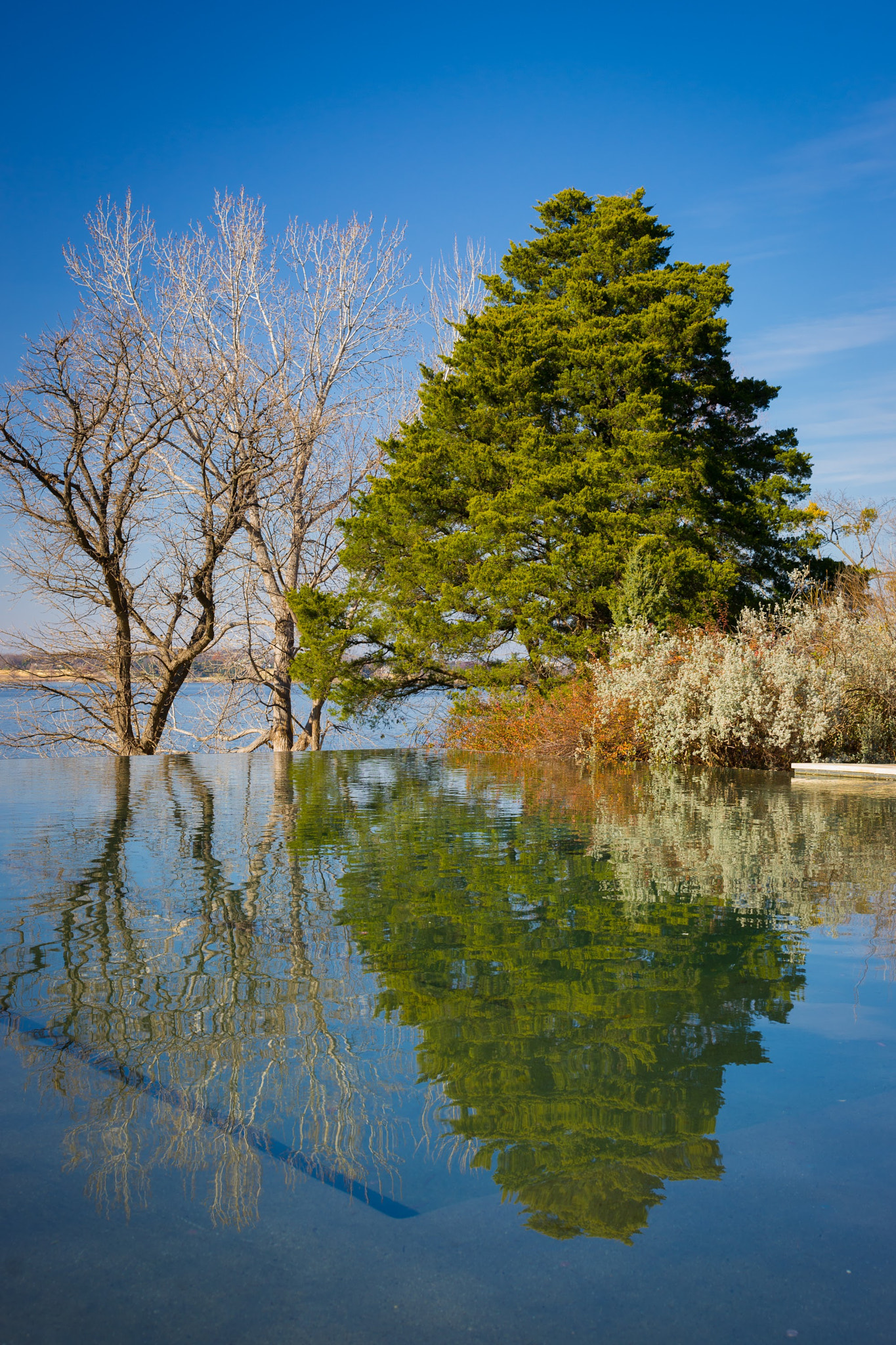 Sony Alpha DSLR-A850 sample photo. Reflection photography