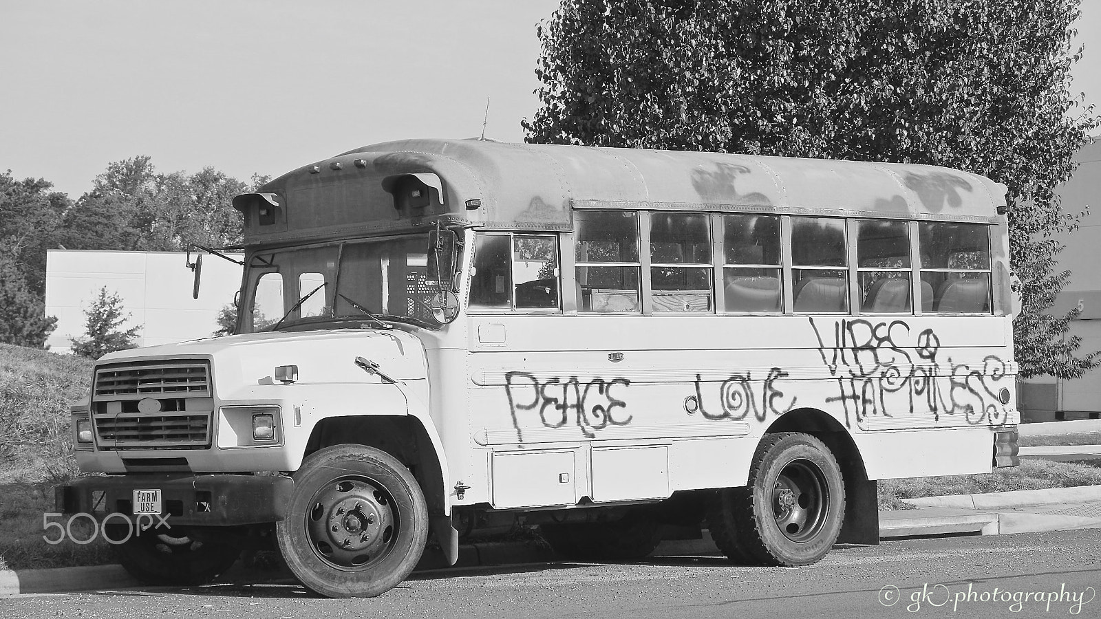 Panasonic Lumix G Vario 45-200mm F4-5.6 OIS sample photo. Peace, love, vibes, happiness photography