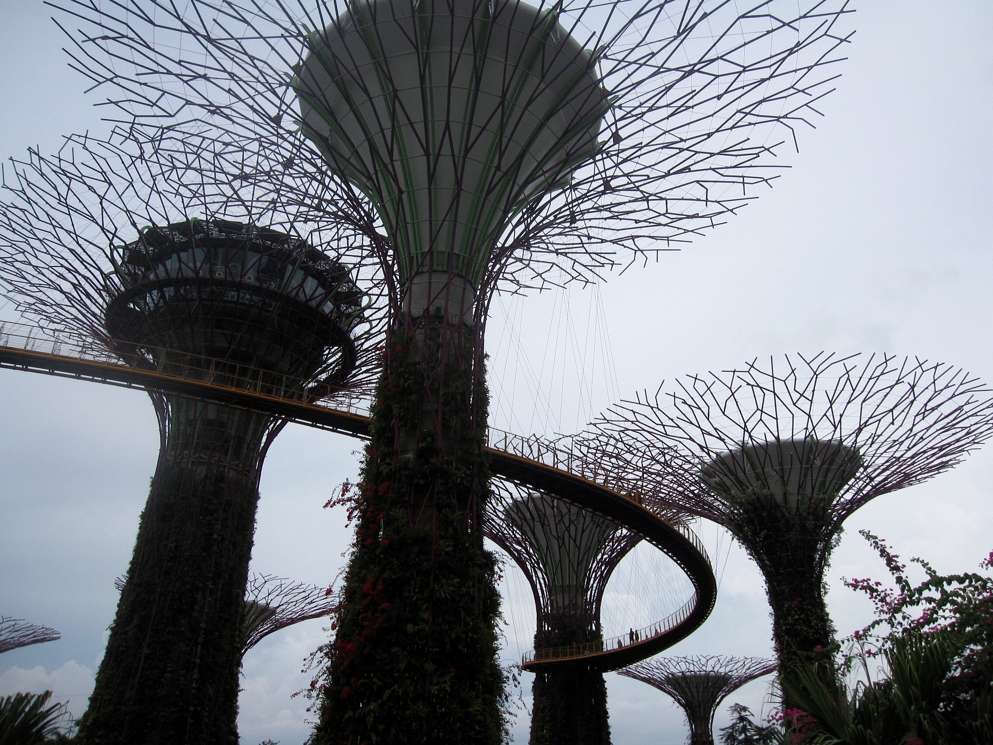 Canon PowerShot SD880 IS (Digital IXUS 870 IS / IXY Digital 920 IS) sample photo. Supertrees and skyway 擎天树和空中步道 photography