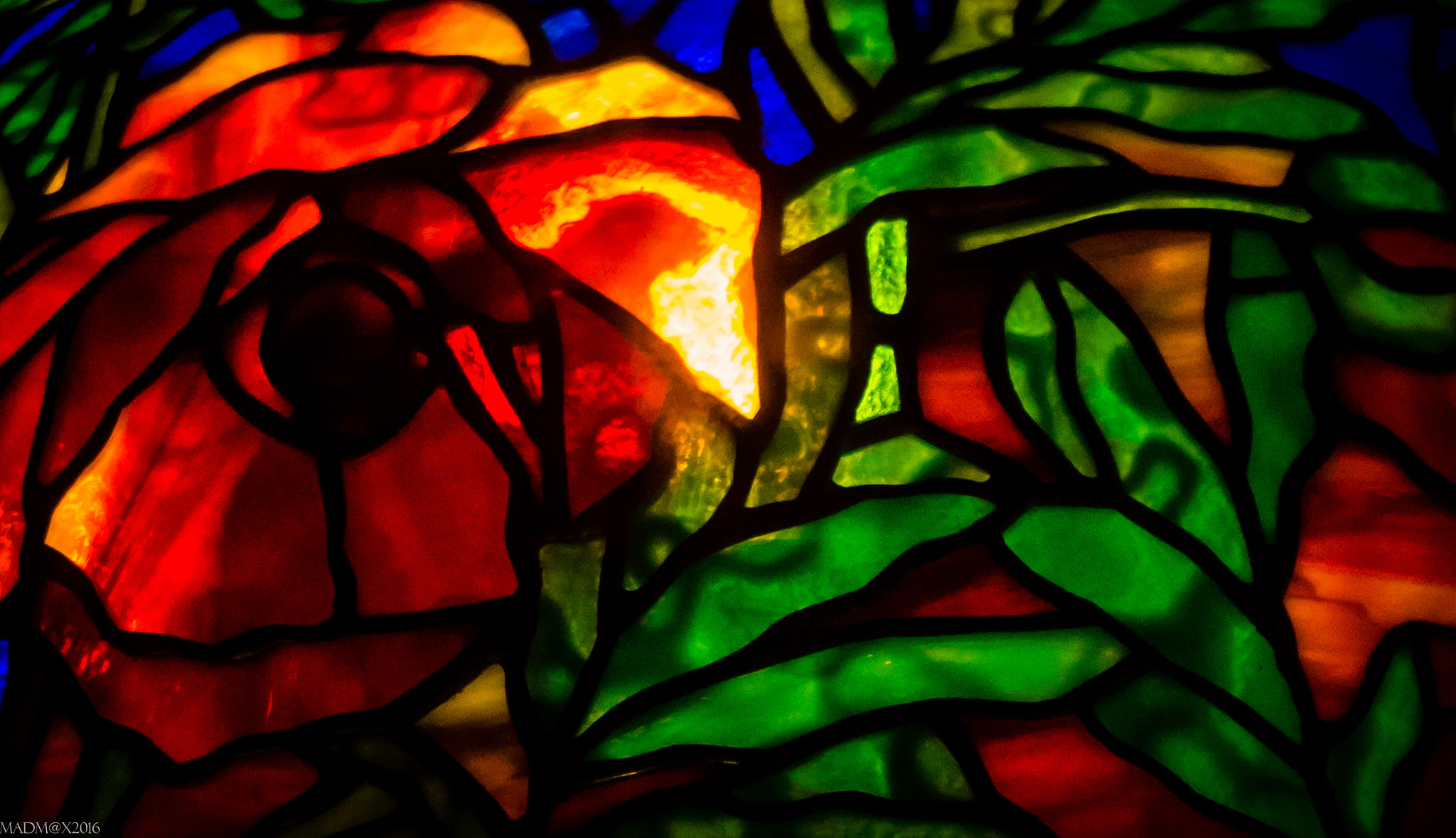 Sony Alpha NEX-7 sample photo. Shattered nature photography