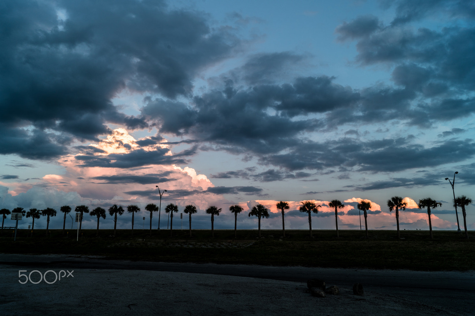 Sony DT 18-55mm F3.5-5.6 SAM II sample photo. Palms sunset photography
