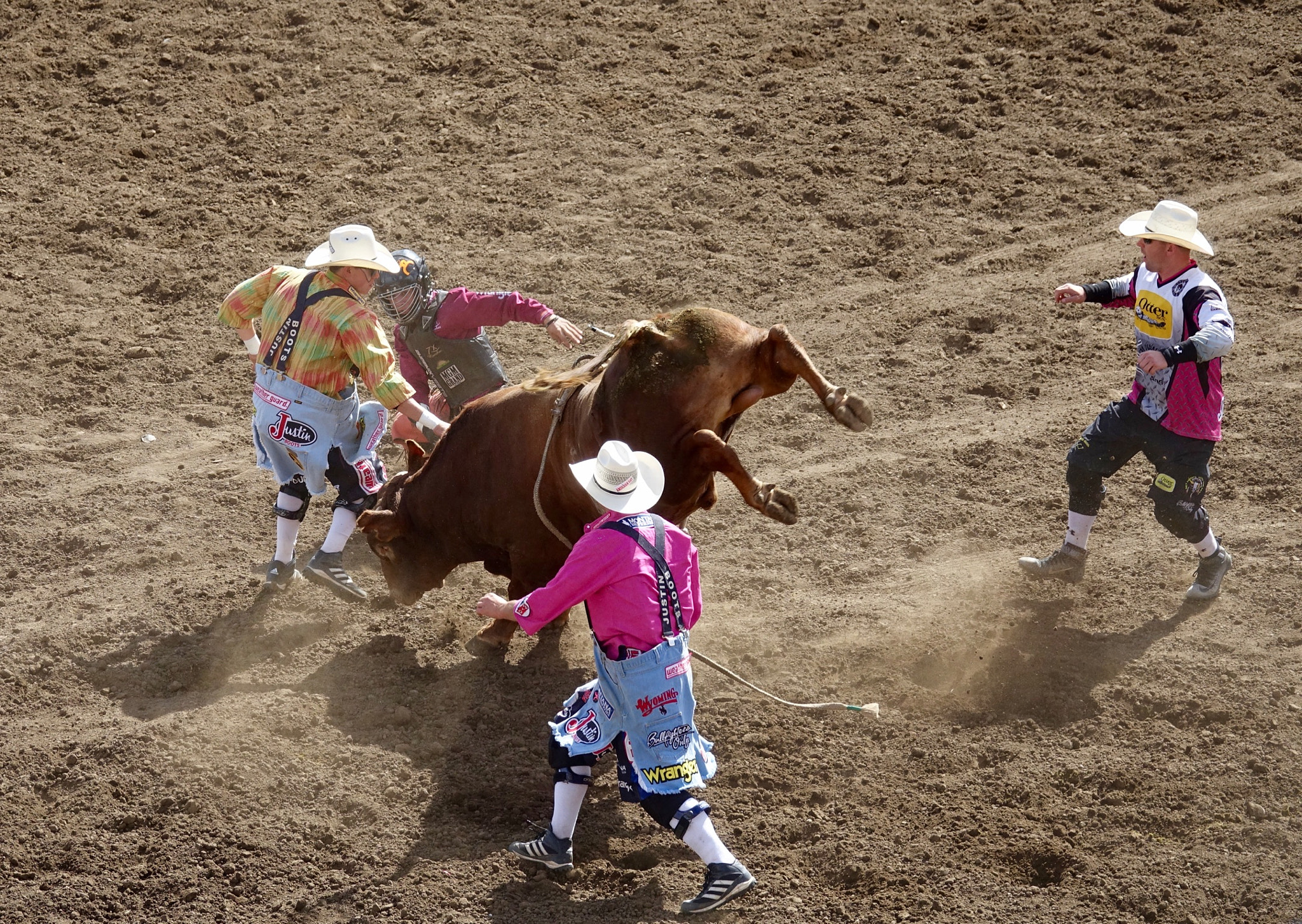 Sony 24-600mm F2.4-4.0 sample photo. Thrown photography