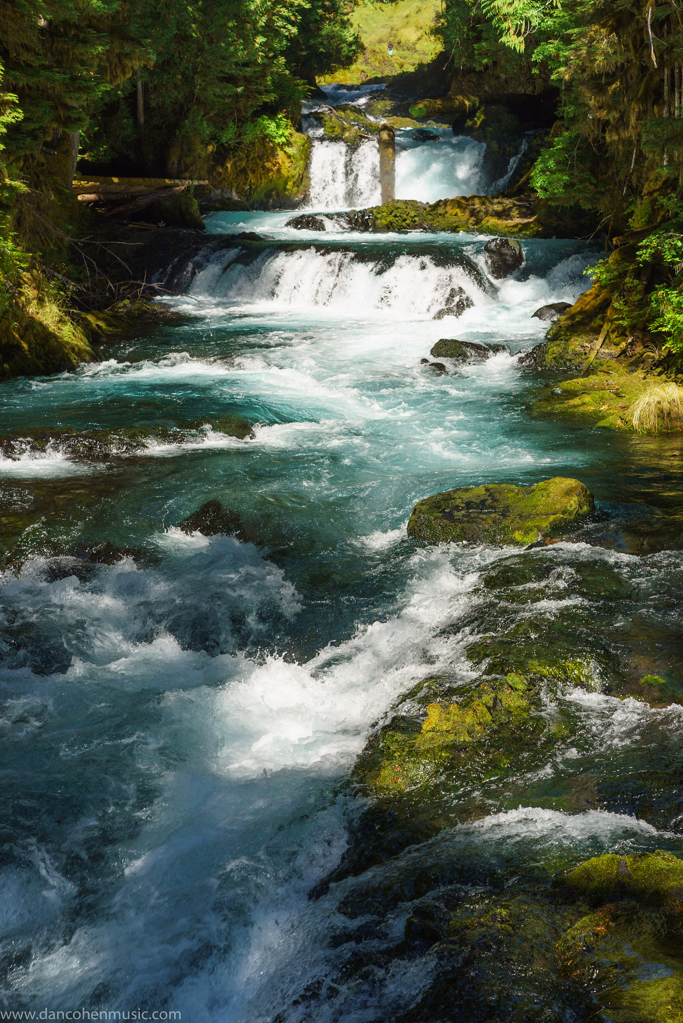 Sony a7S II + Sony Sonnar T* FE 55mm F1.8 ZA sample photo. Sahalie falls, or photography