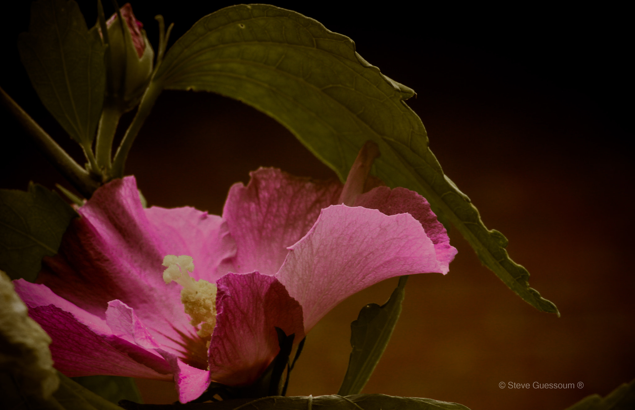 Sigma 50mm f/1.4 EX DG HSM + 1.4x sample photo