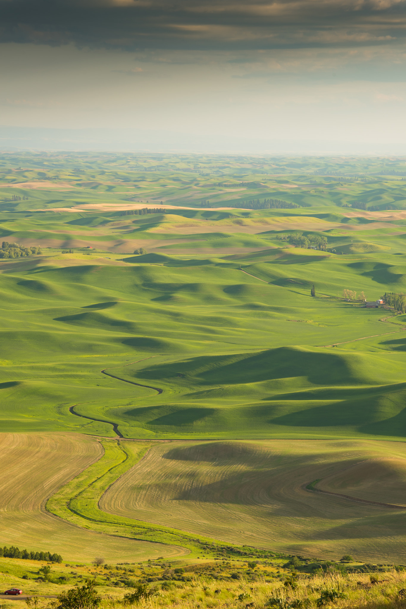 Sony a7 II + Canon 24-105mm F4 DG OS HSM | Art 013 sample photo. Palouse photography