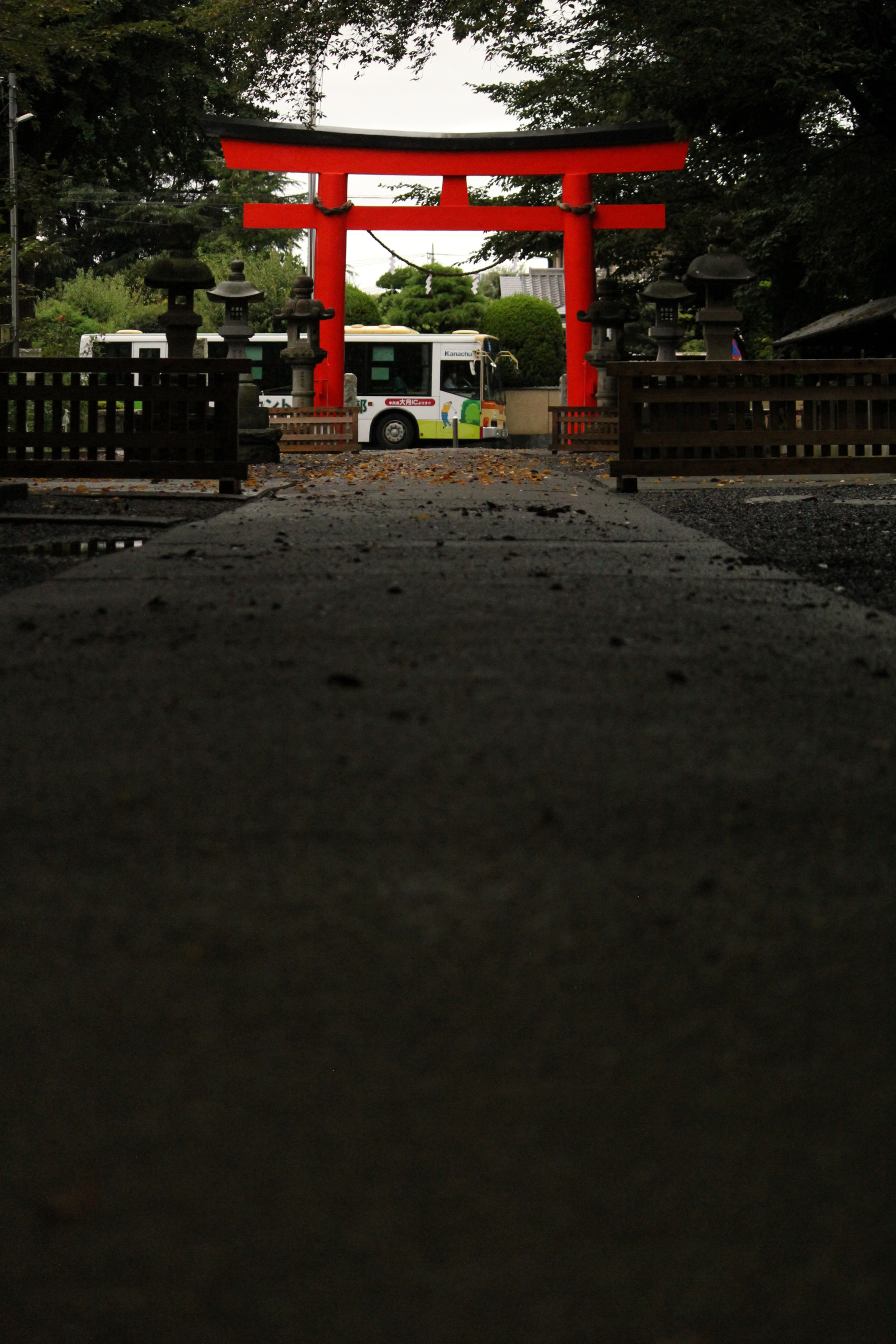 Canon EOS 550D (EOS Rebel T2i / EOS Kiss X4) sample photo. Bus photography