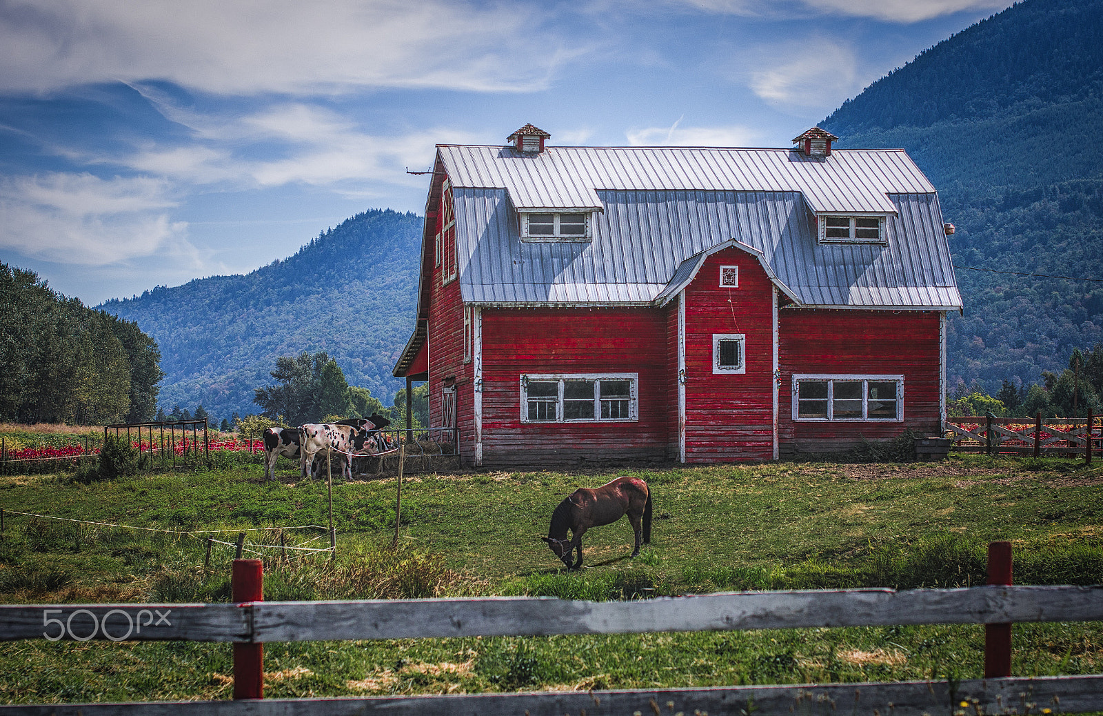 Nikon D7000 + Sigma 50mm F1.4 EX DG HSM sample photo. Farm house photography