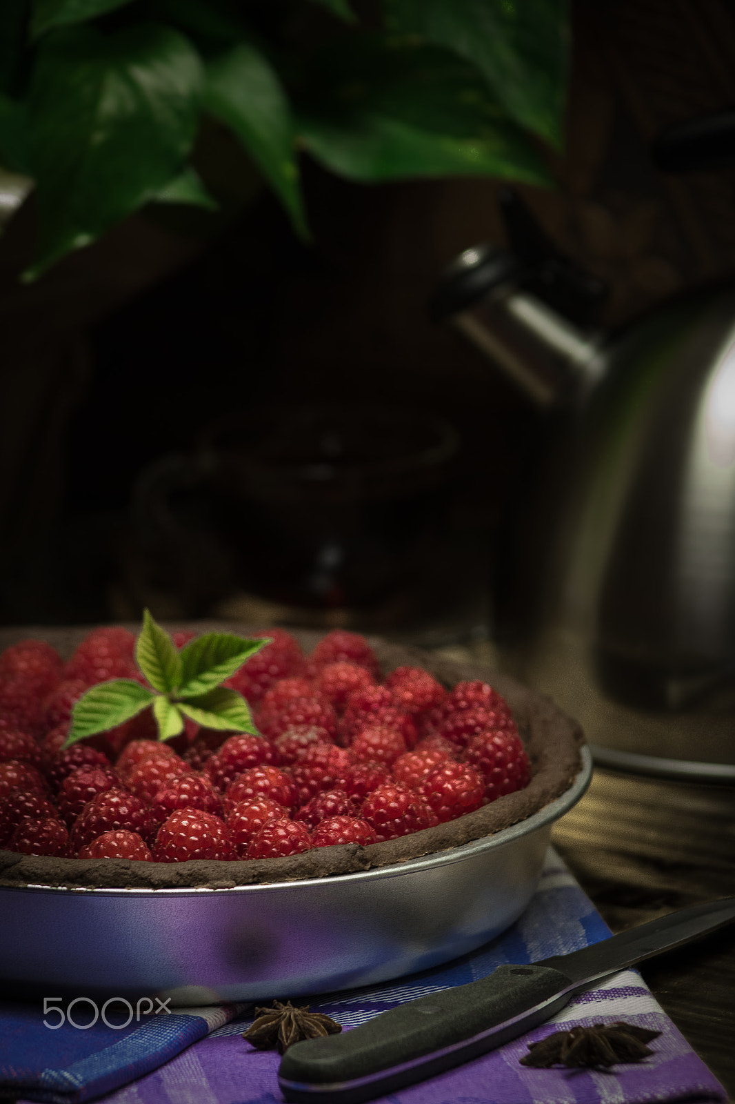 Canon EF 75-300mm f/4-5.6 USM sample photo. Chocolate raspberry tart photography