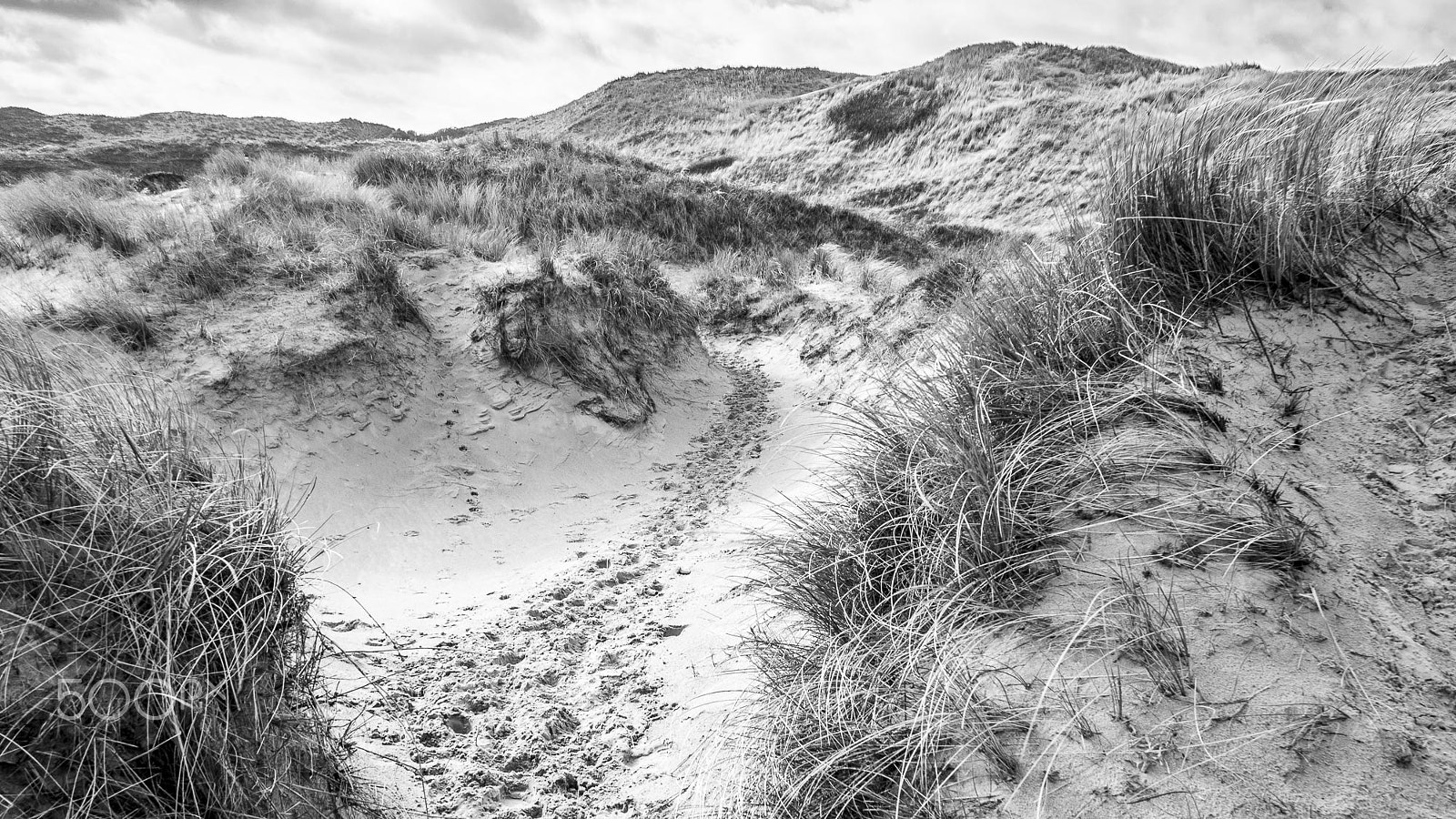 Olympus OM-D E-M5 + Panasonic Lumix G 14mm F2.5 ASPH sample photo. Sand path photography