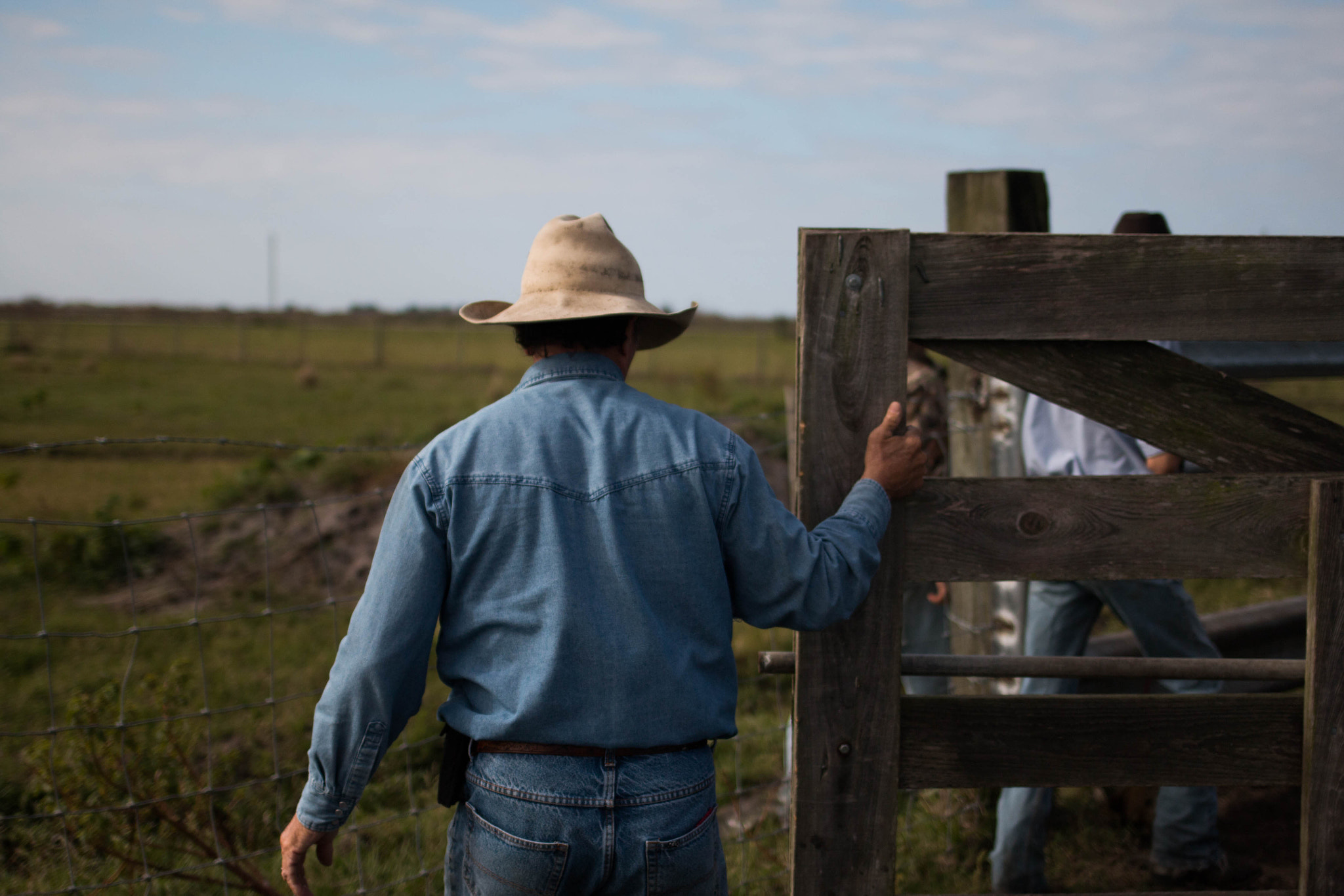 Canon EF 35mm F2 IS USM sample photo. Lone cow boy photography