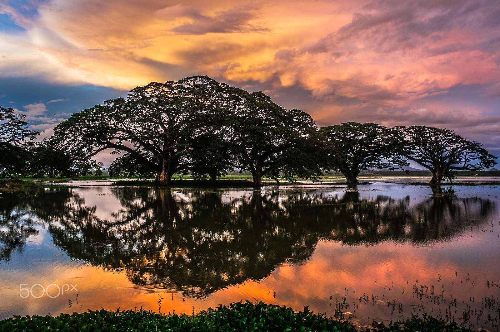 Sony NEX-5C sample photo. Fire in the sky photography