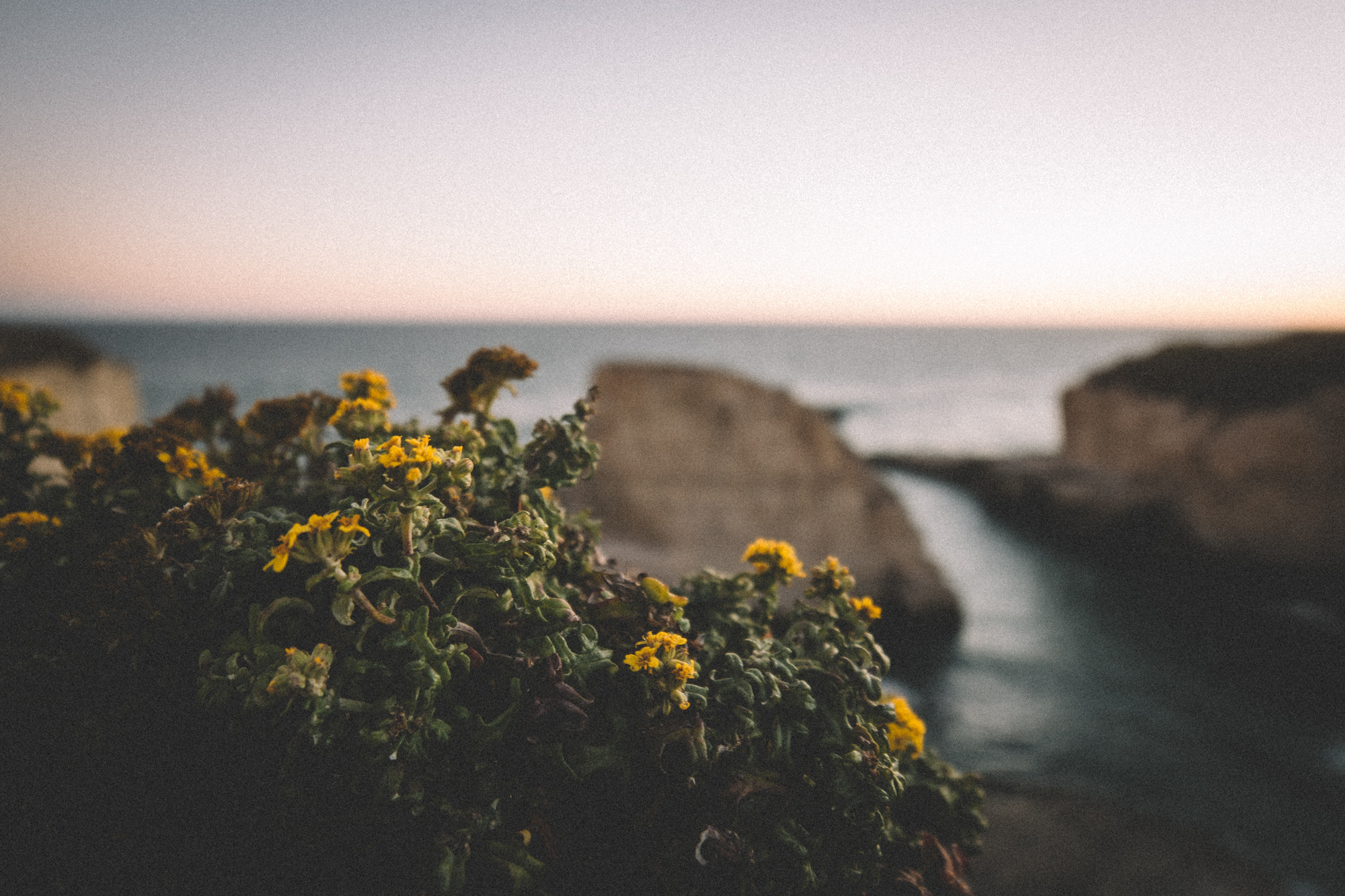 Samyang 14mm F2.8 ED AS IF UMC sample photo. Davenport, ca photography