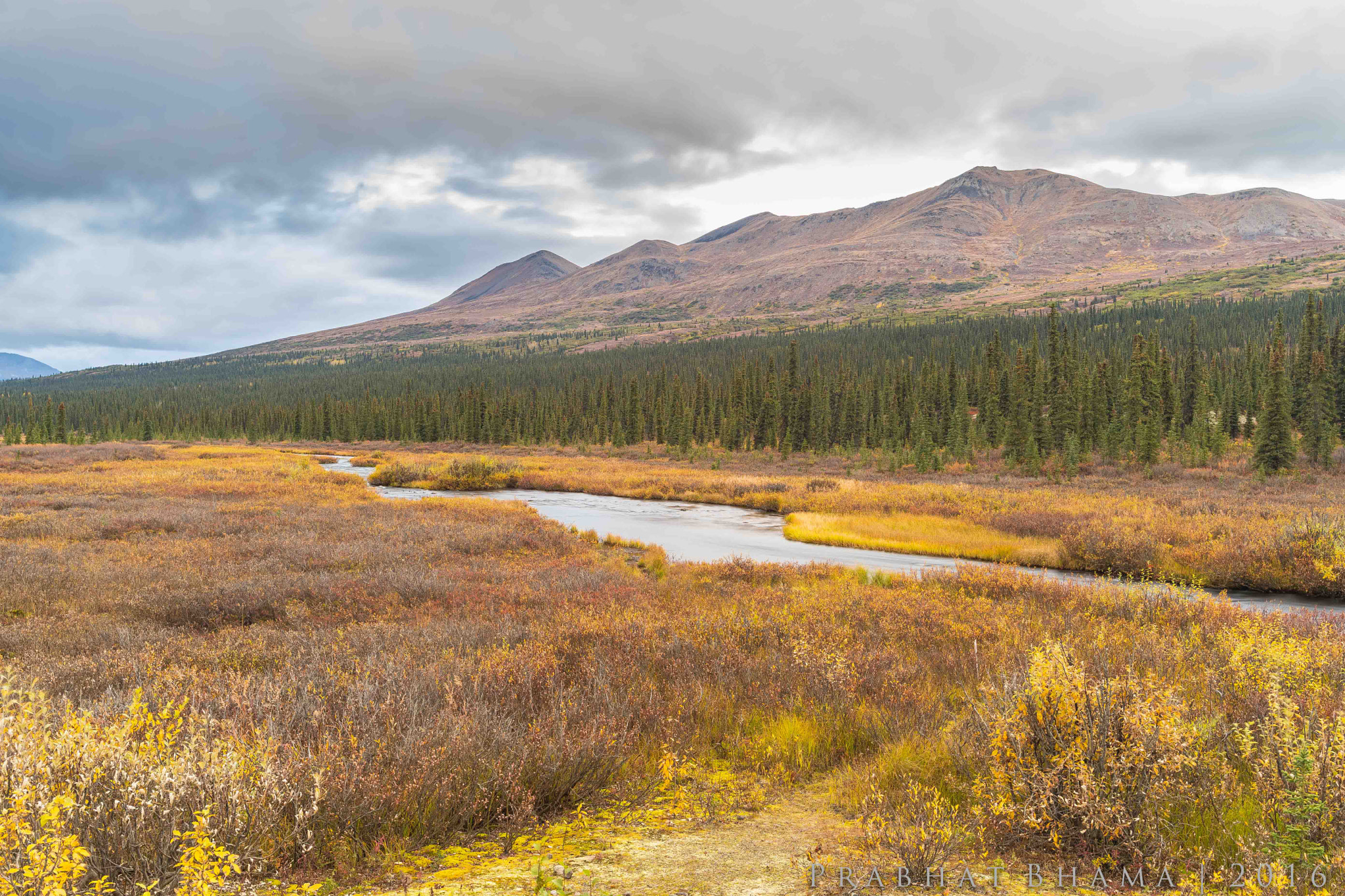 Nikon D500 + Nikon AF-S Nikkor 20mm F1.8G ED sample photo. Autumn over the tundra in alaska photography