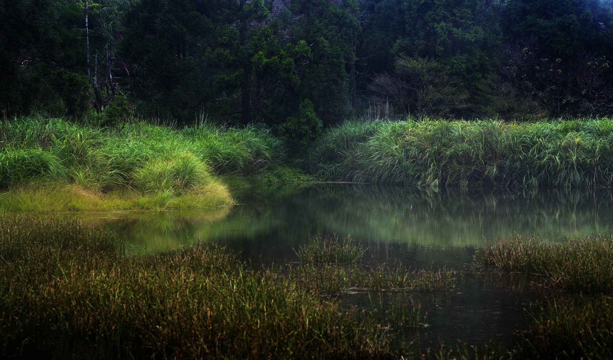 Nikon D4 sample photo. Dream lake photography