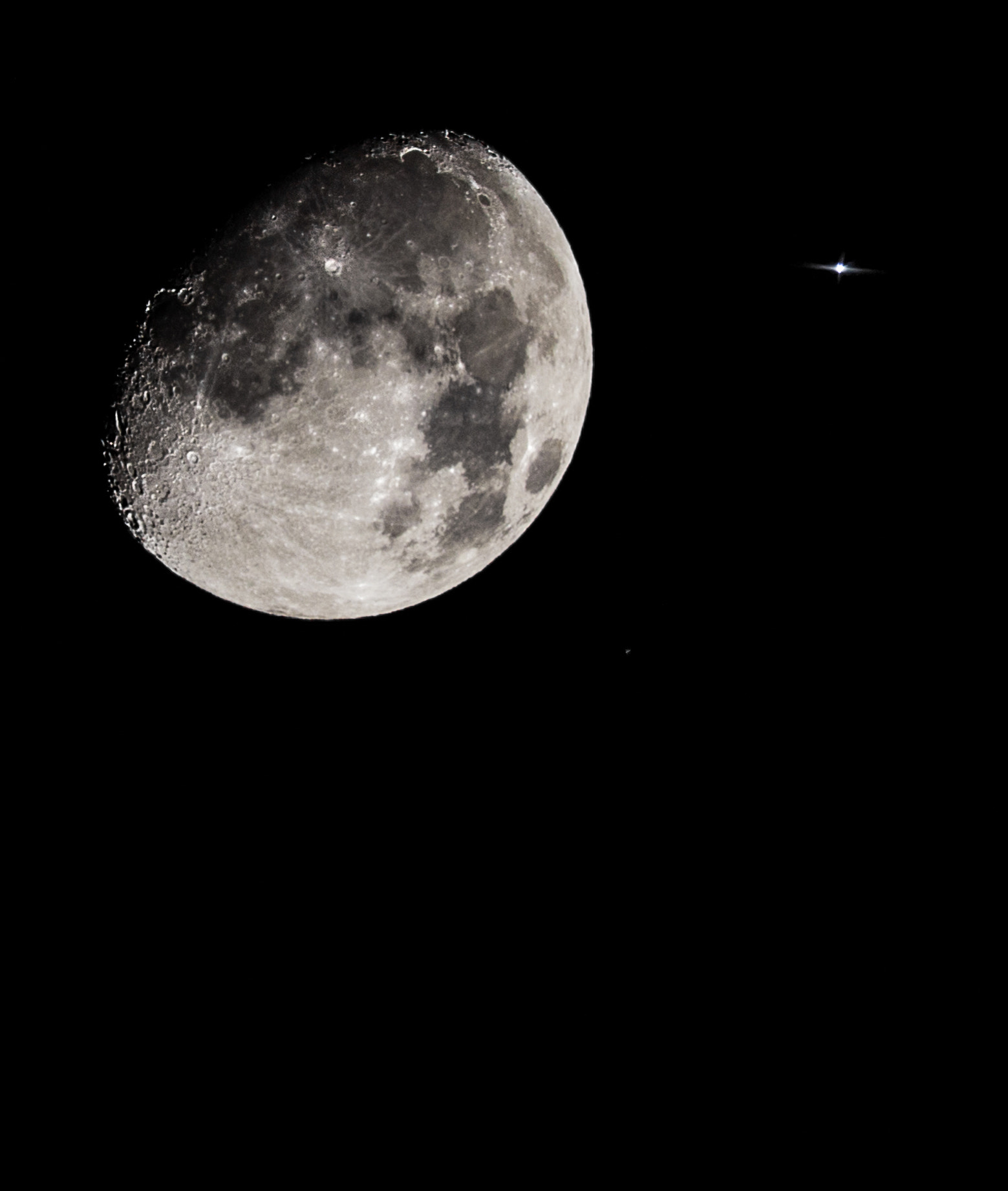 Sigma 150-600mm F5-6.3 DG OS HSM | C sample photo. Img photography