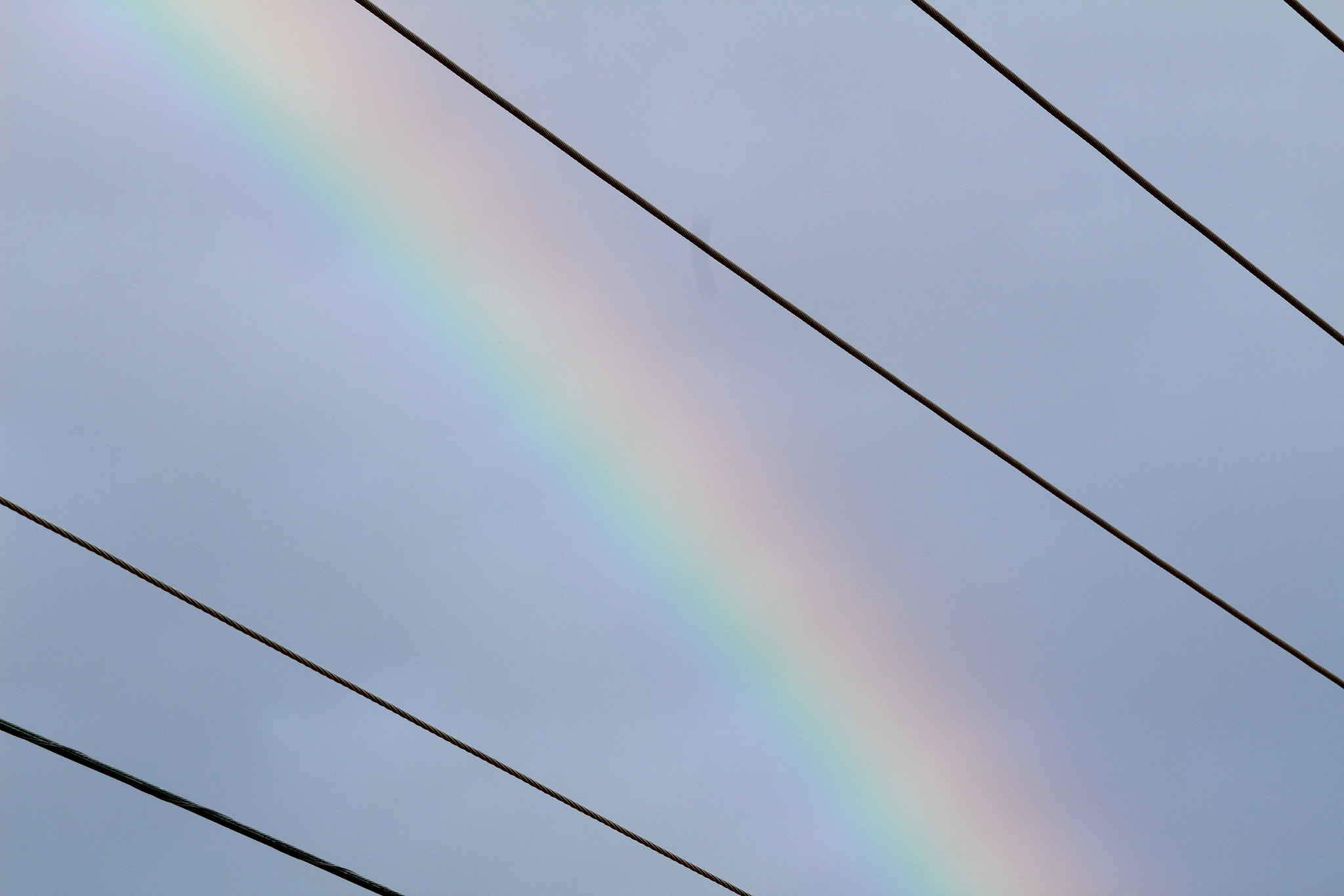Canon EF-S 55-250mm F4-5.6 IS II sample photo
