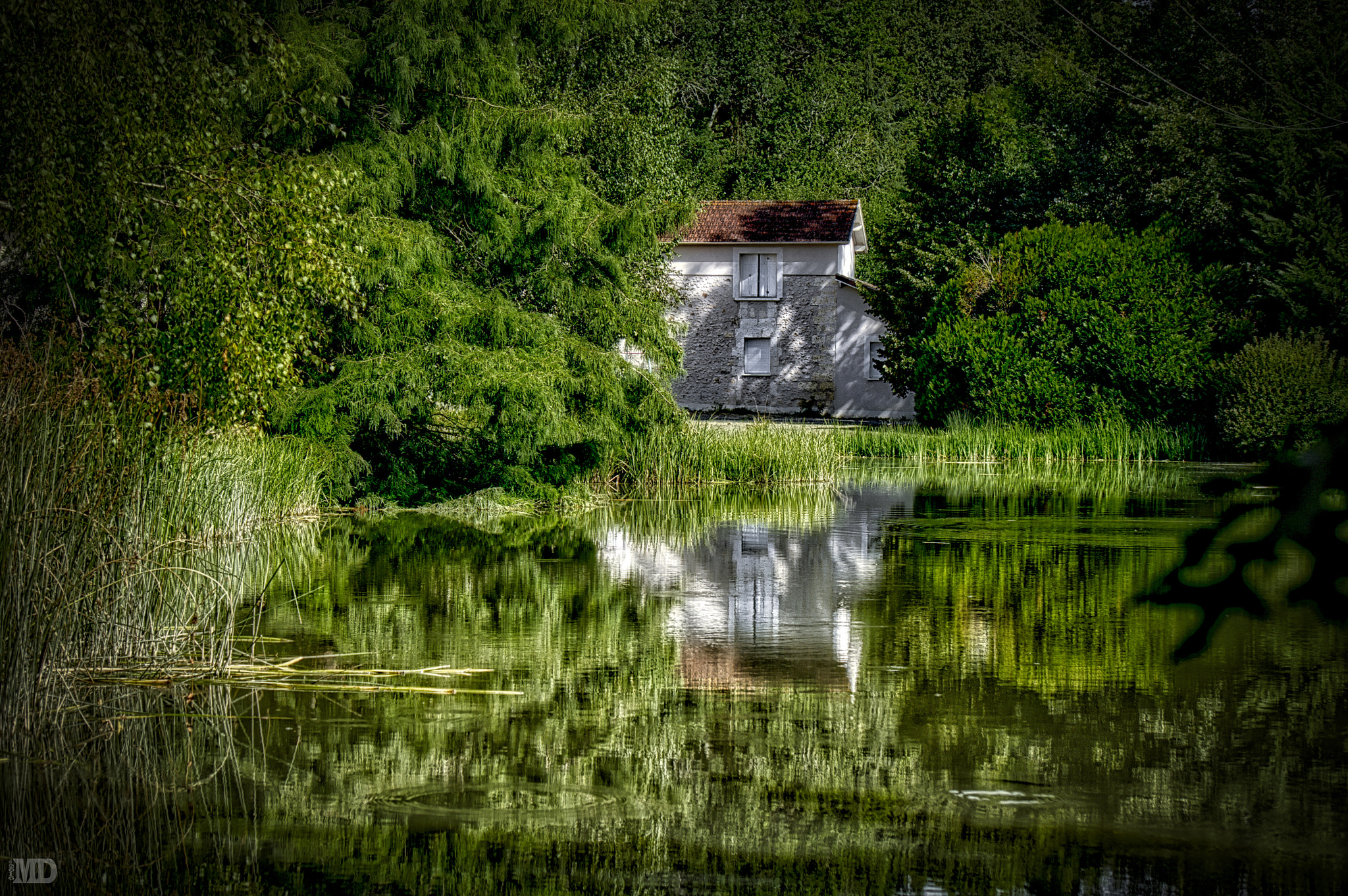 Sony Alpha NEX-5R + Sony E 55-210mm F4.5-6.3 OSS sample photo. Quiet reflections ii photography