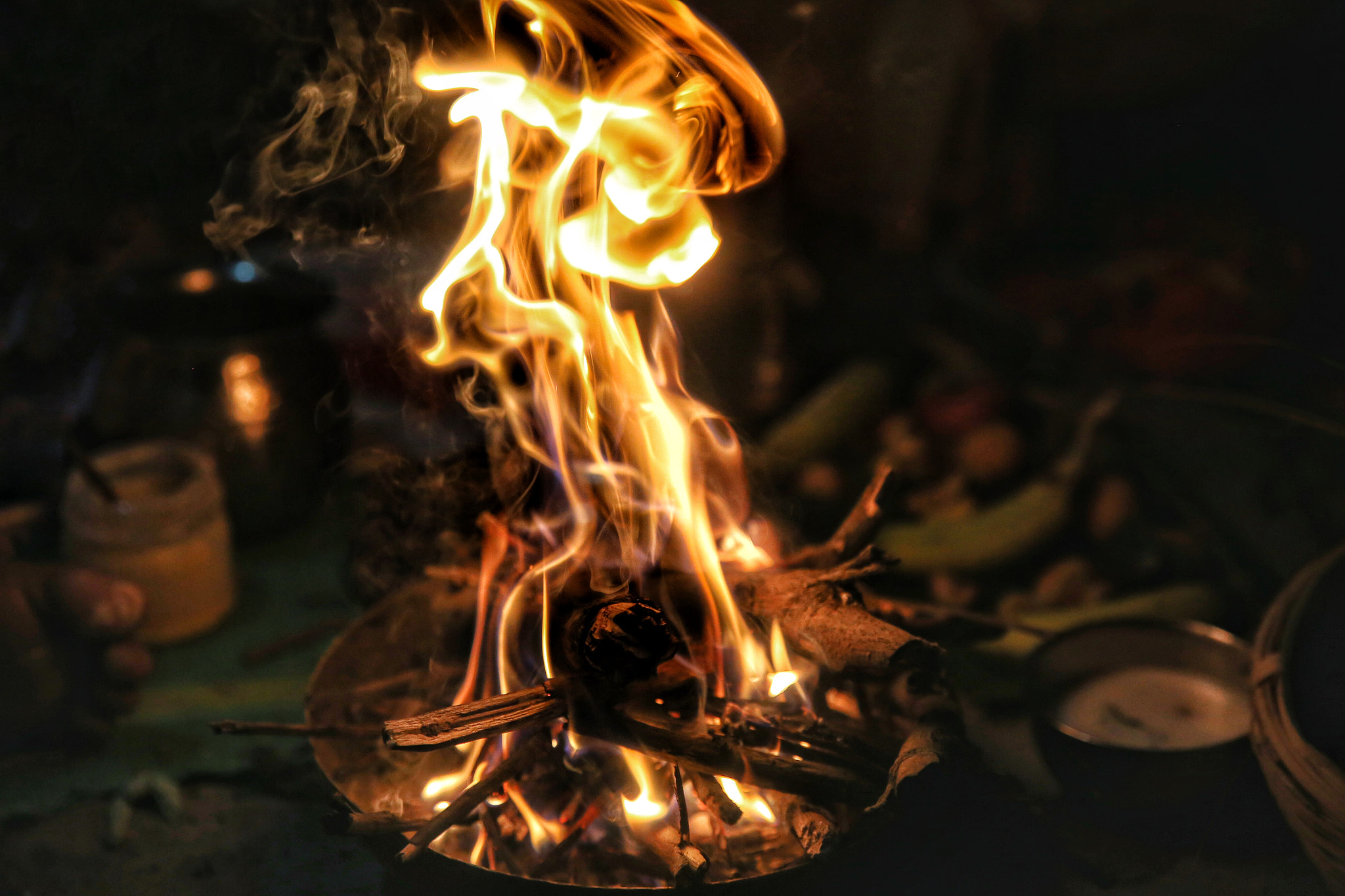 Canon 24-70mm sample photo. Flames of life photography