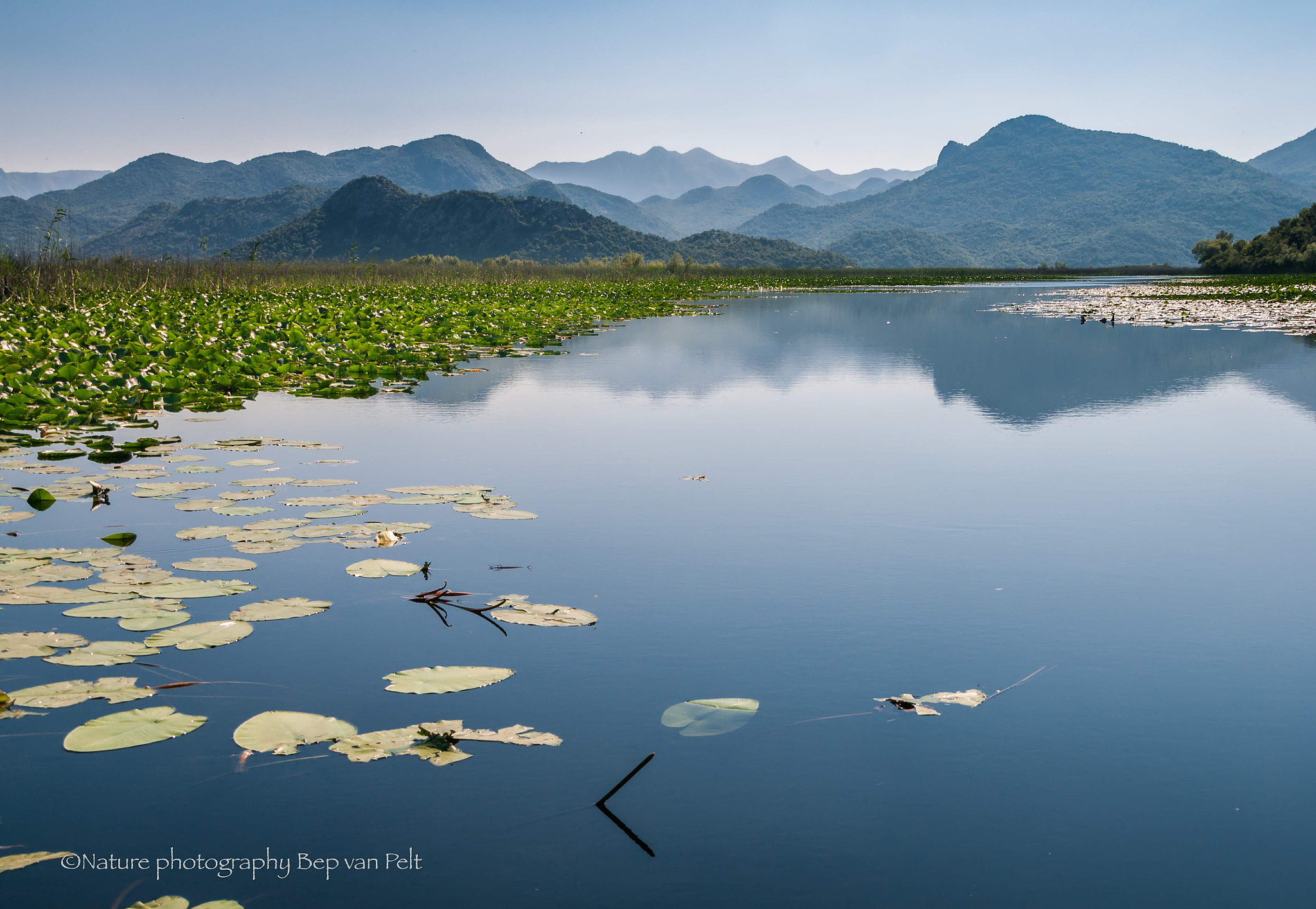 Pentax K-7 + Sigma sample photo. Skadar lake (montenegro) photography