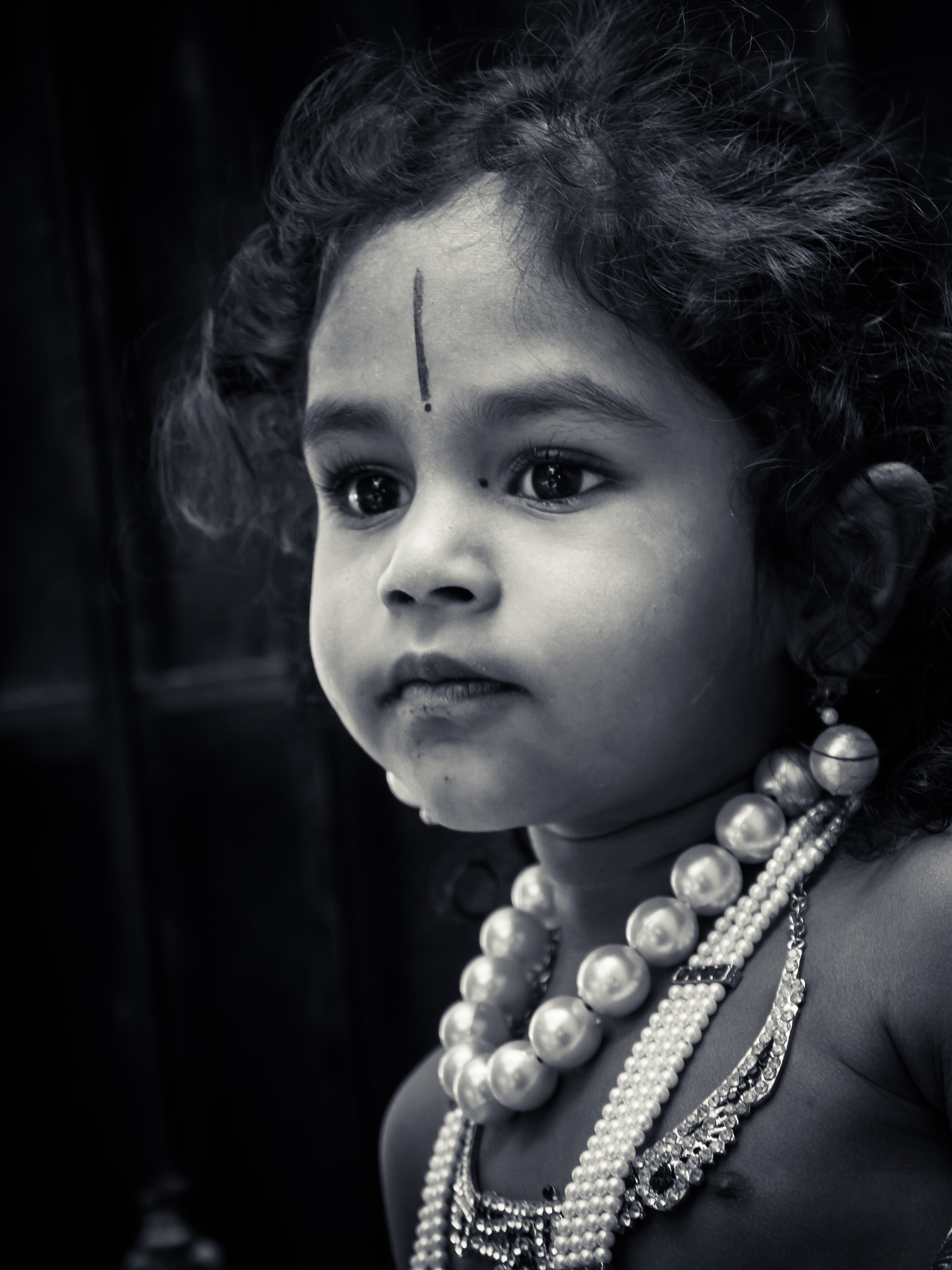 Panasonic Lumix DMC-GH2 sample photo. Krishna photography
