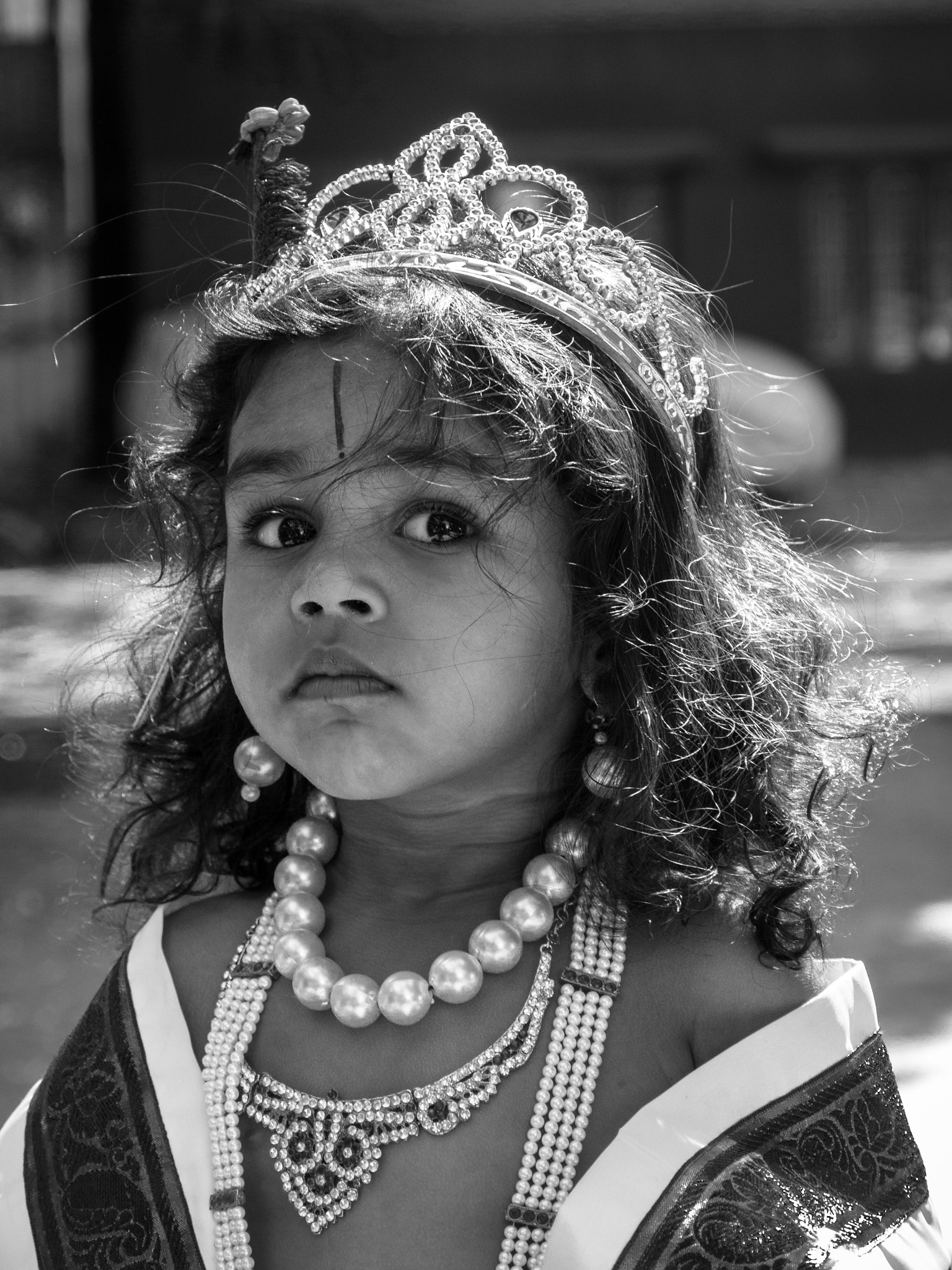 Panasonic Lumix DMC-GH2 sample photo. Krishna photography