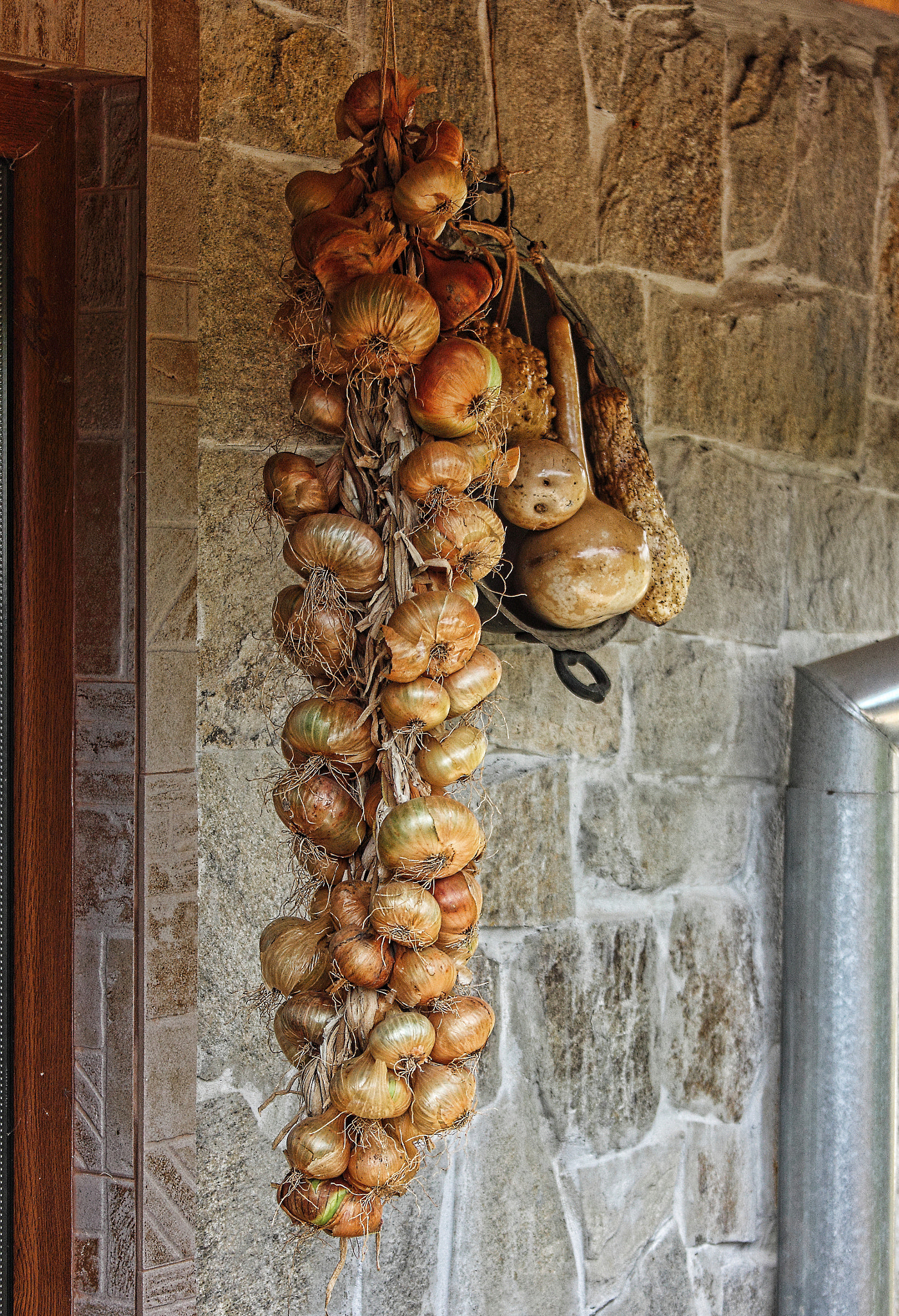 Canon EF 28-135mm F3.5-5.6 IS USM sample photo. Onions photography