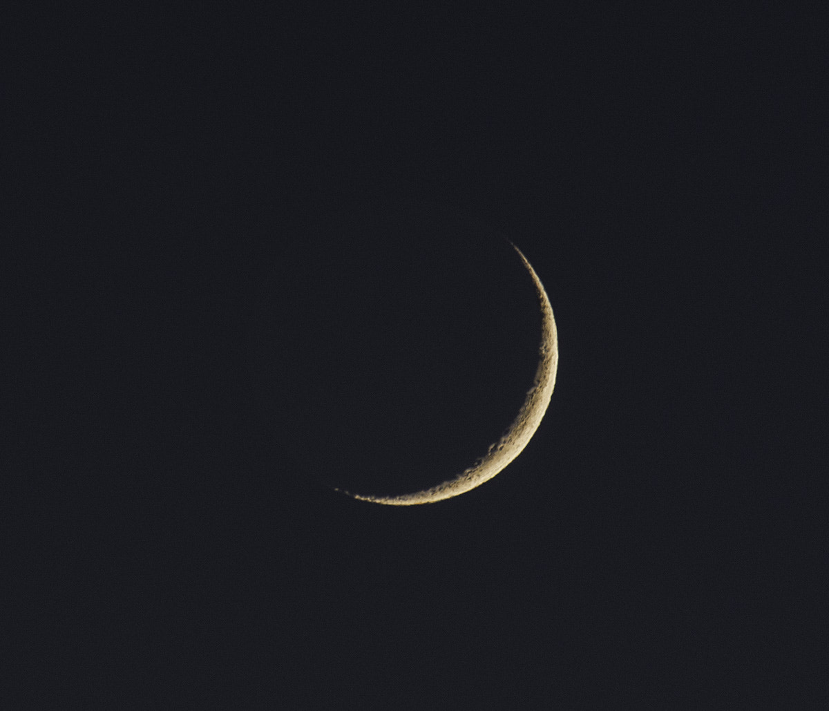 Sigma 150-600mm F5-6.3 DG OS HSM | C sample photo. Earthshine photography