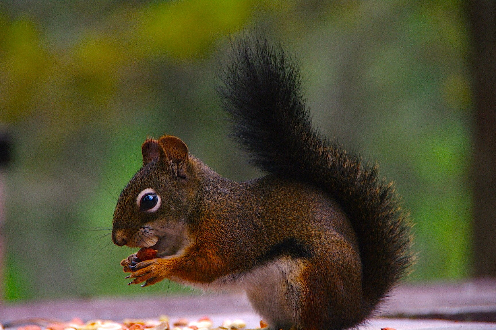 Pentax K-7 sample photo. Judys little friends photography