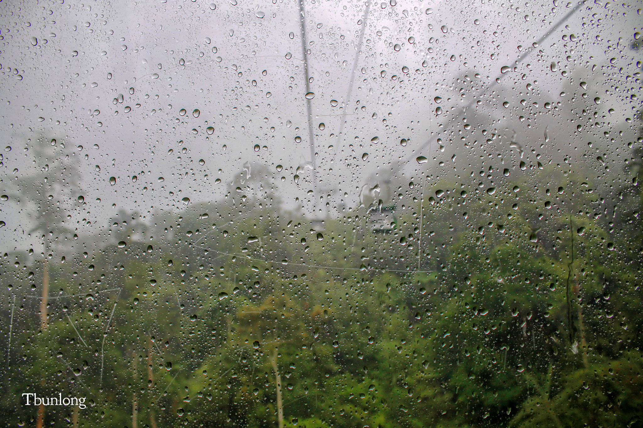 Canon EF-S 18-55mm F3.5-5.6 IS II sample photo. After rain ! photography