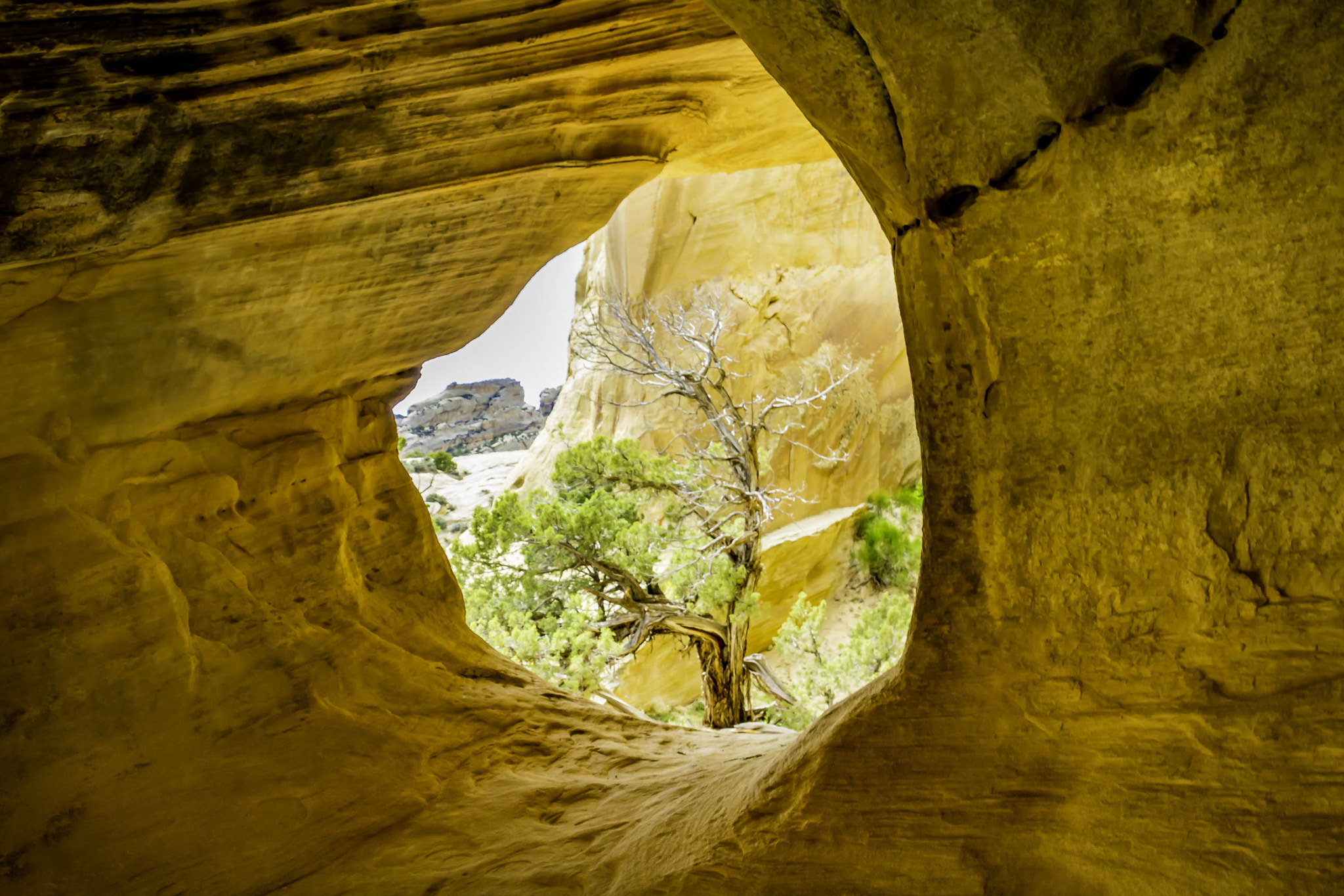 Canon EF-S 17-85mm F4-5.6 IS USM sample photo. A window to the soul photography
