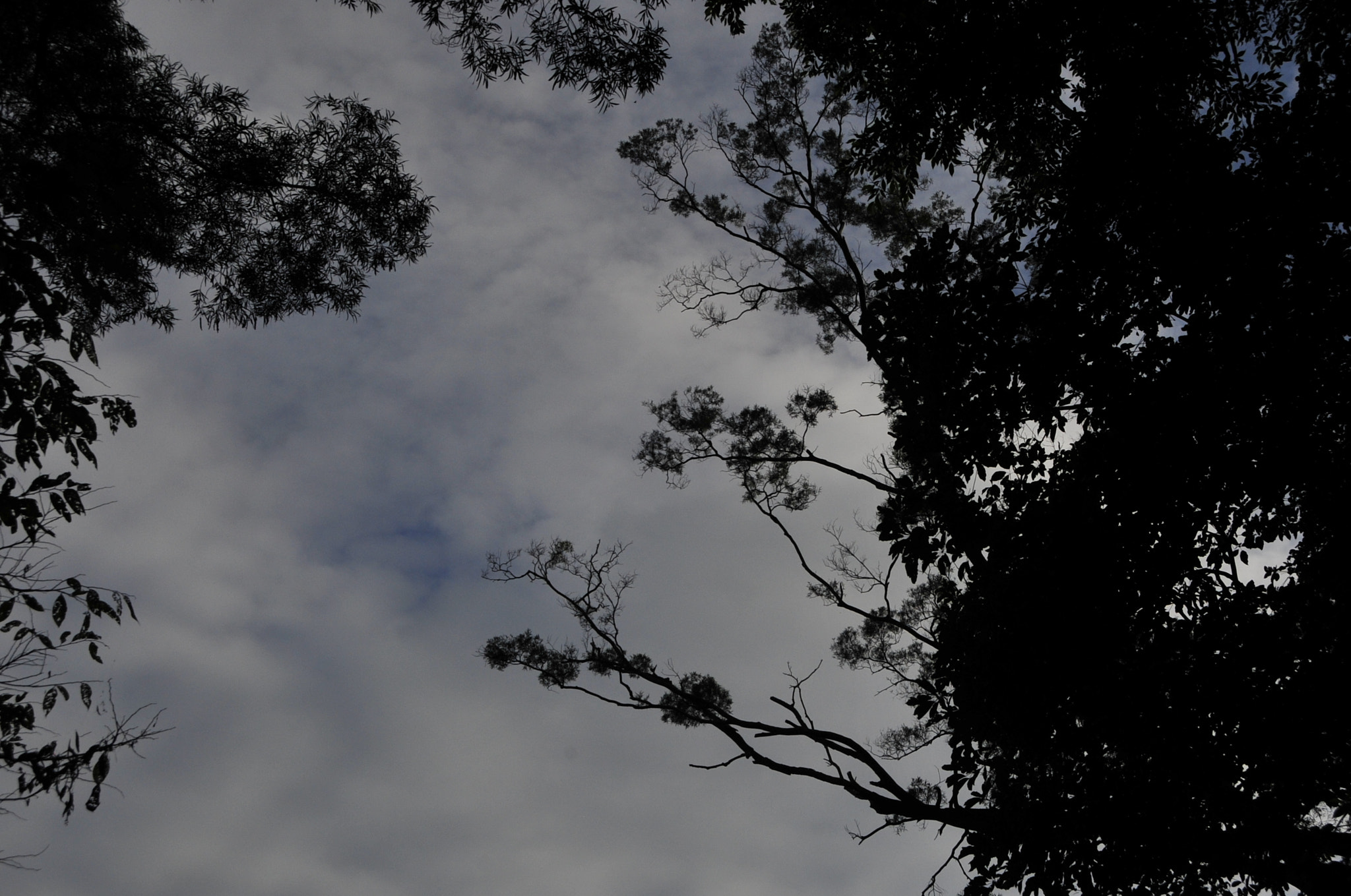 Nikon D3 sample photo. .. photography
