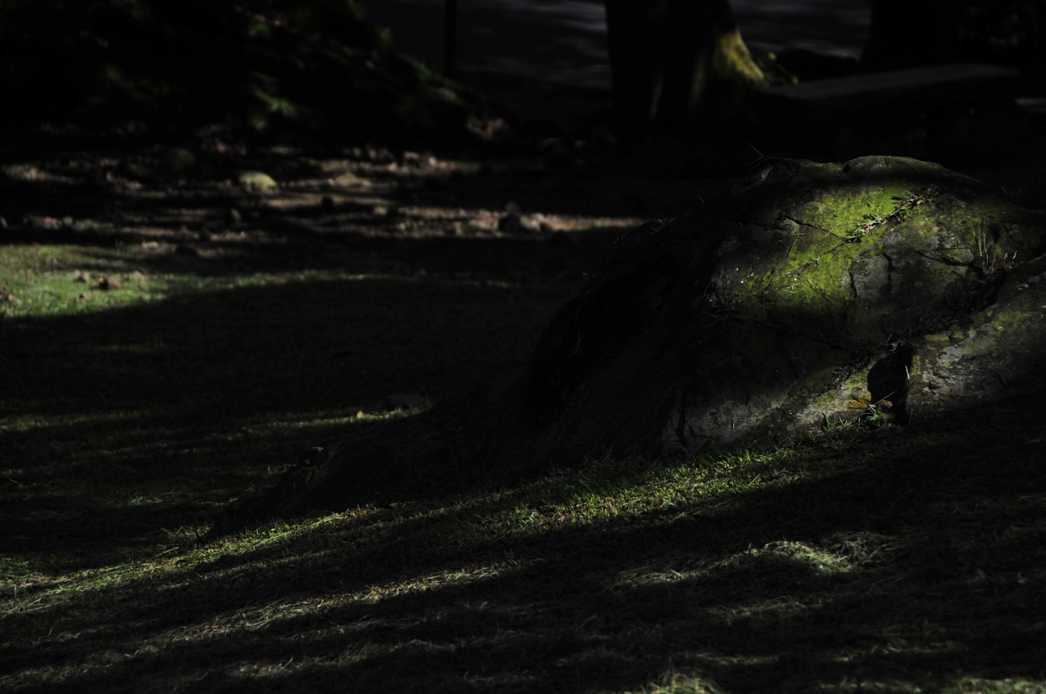 Nikon D3 sample photo. .. photography