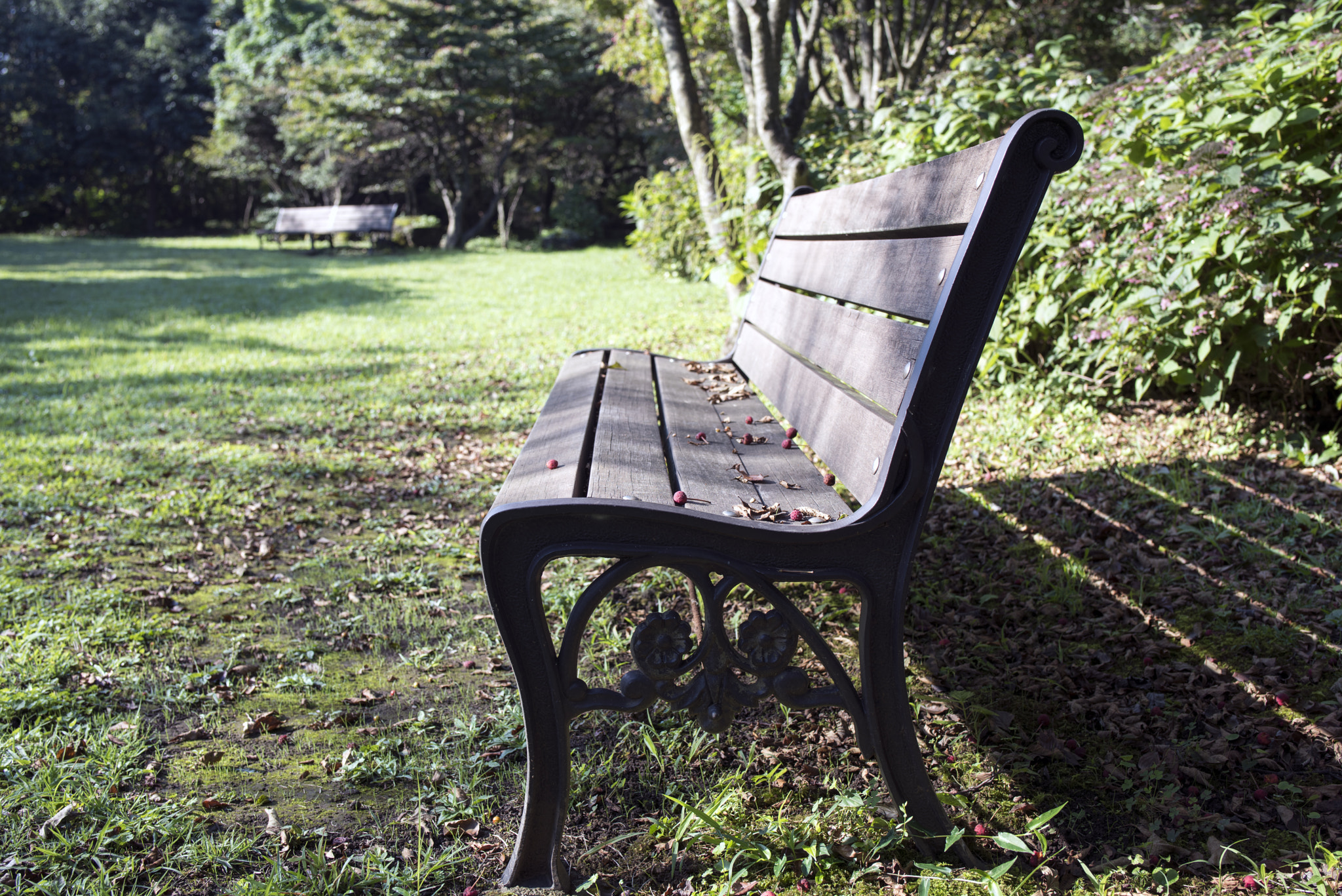 Tamron SP 35mm F1.8 Di VC USD sample photo. Bench photography