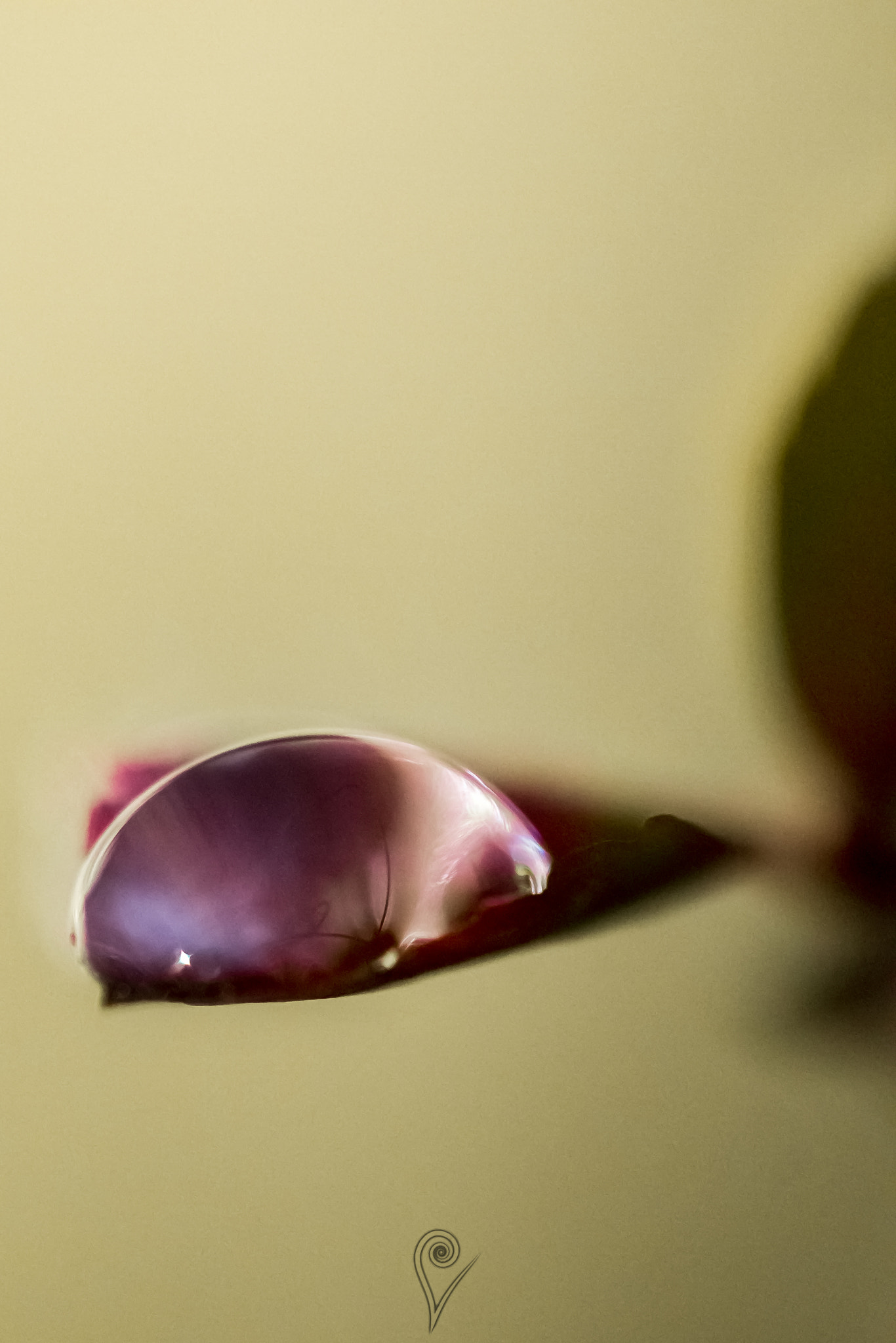 Canon EF 100mm F2.8L Macro IS USM sample photo. Water drop macro photography