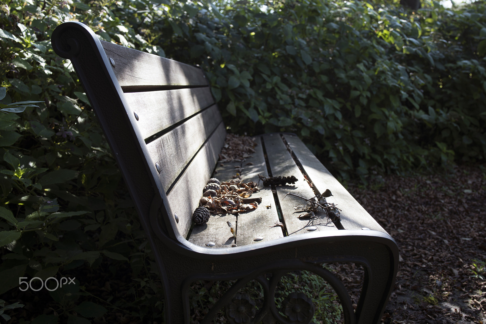 Tamron SP 35mm F1.8 Di VC USD sample photo. Bench photography