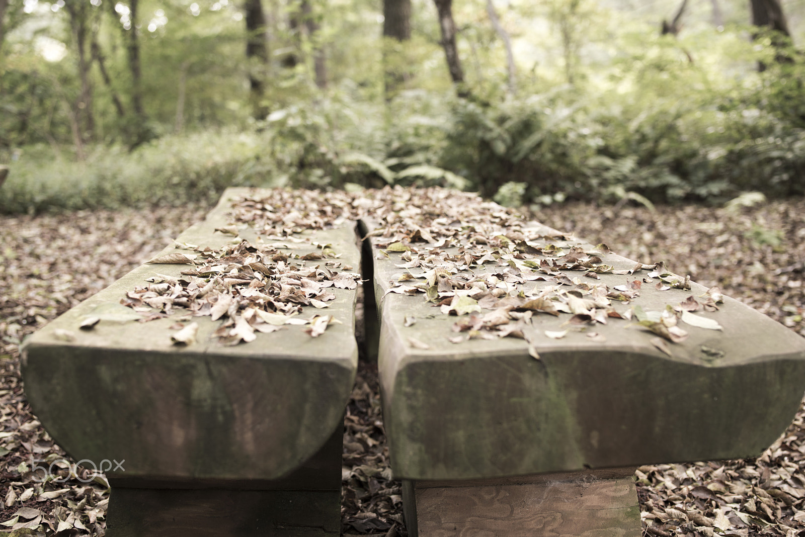 Tamron SP 35mm F1.8 Di VC USD sample photo. Bench photography