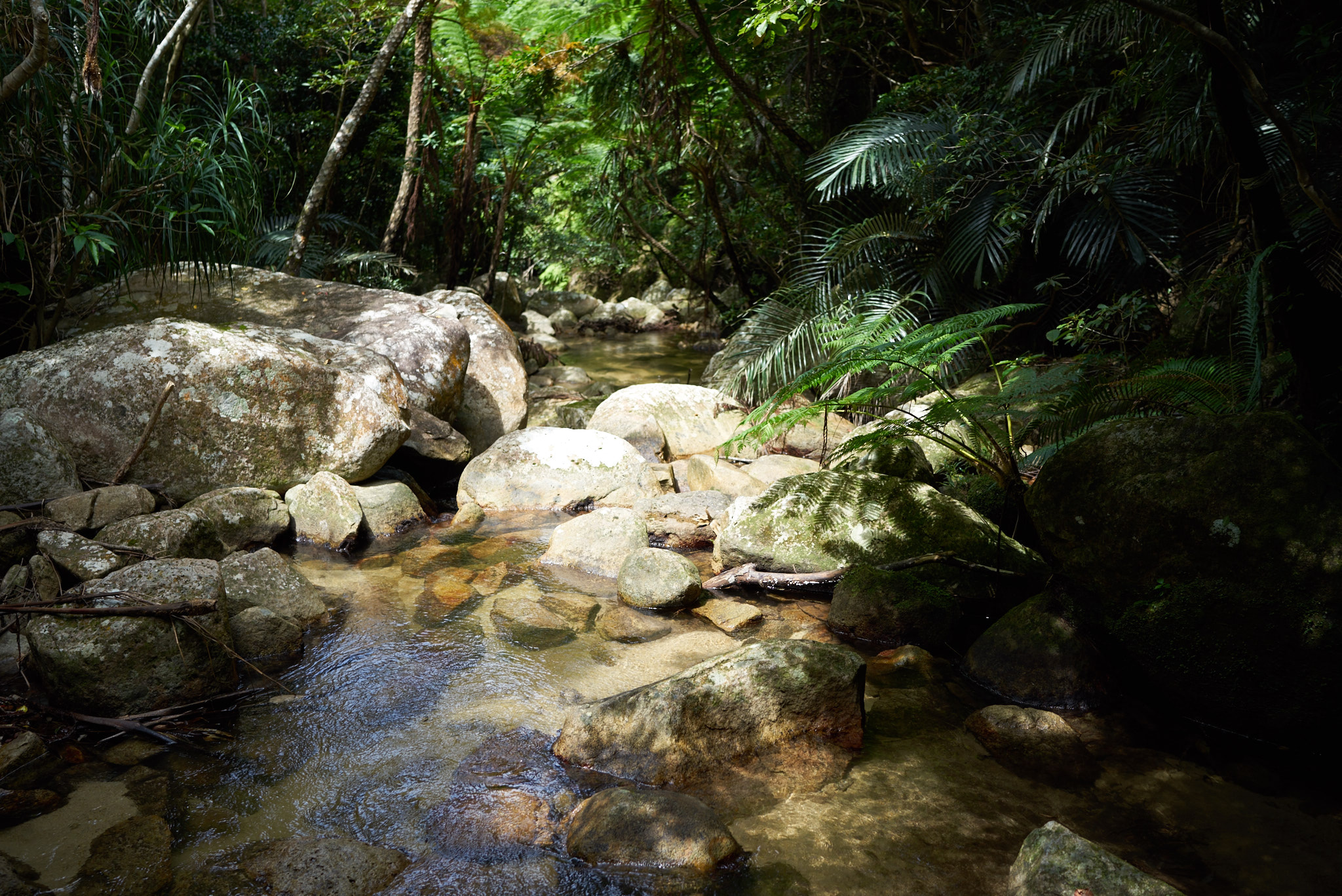 Sony a7R + Sony Distagon T* FE 35mm F1.4 ZA sample photo. Riverhike on ishigaki, japan photography