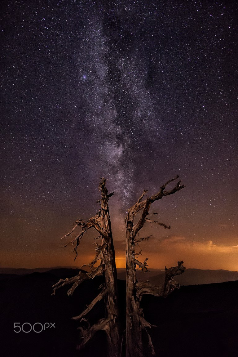 Sony a99 II + Sony Vario-Sonnar T* 16-35mm F2.8 ZA SSM sample photo. Tocando el cielo photography