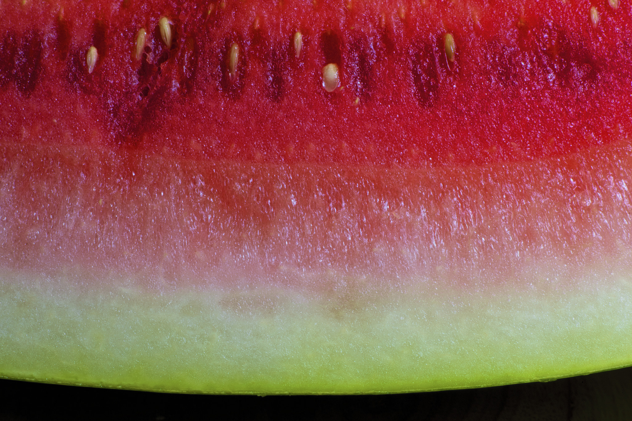 Nikon D750 + Tokina AT-X Pro 100mm F2.8 Macro sample photo. Watermelon photography