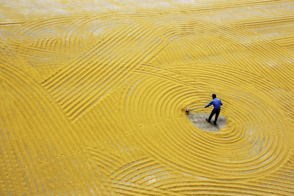 wheat drying by Emine Ba?a on 500px.com