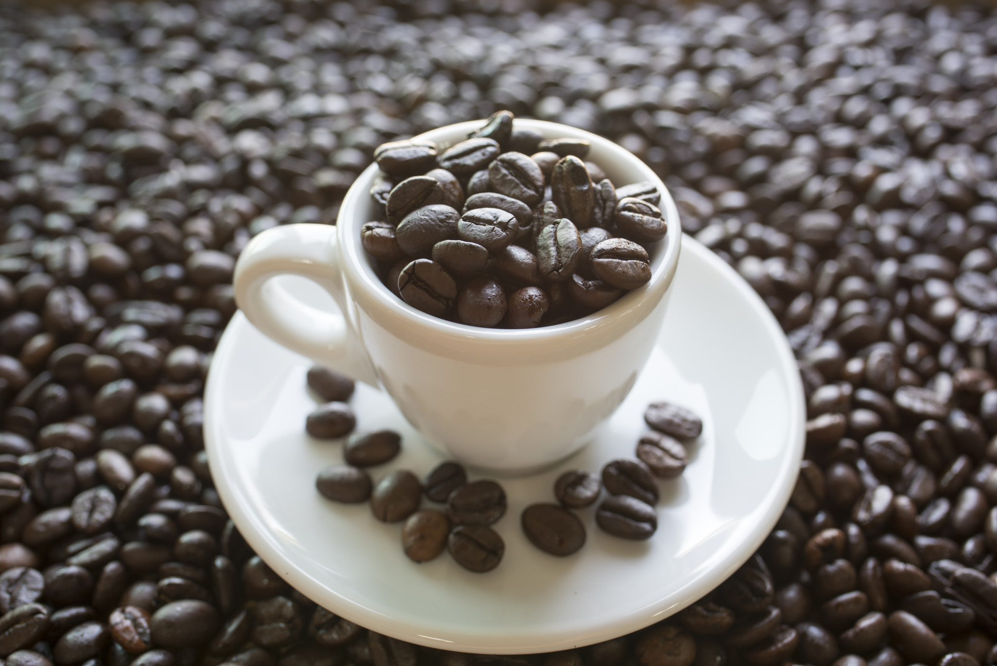 Tamron SP 35mm F1.8 Di VC USD sample photo. Coffee bean photography