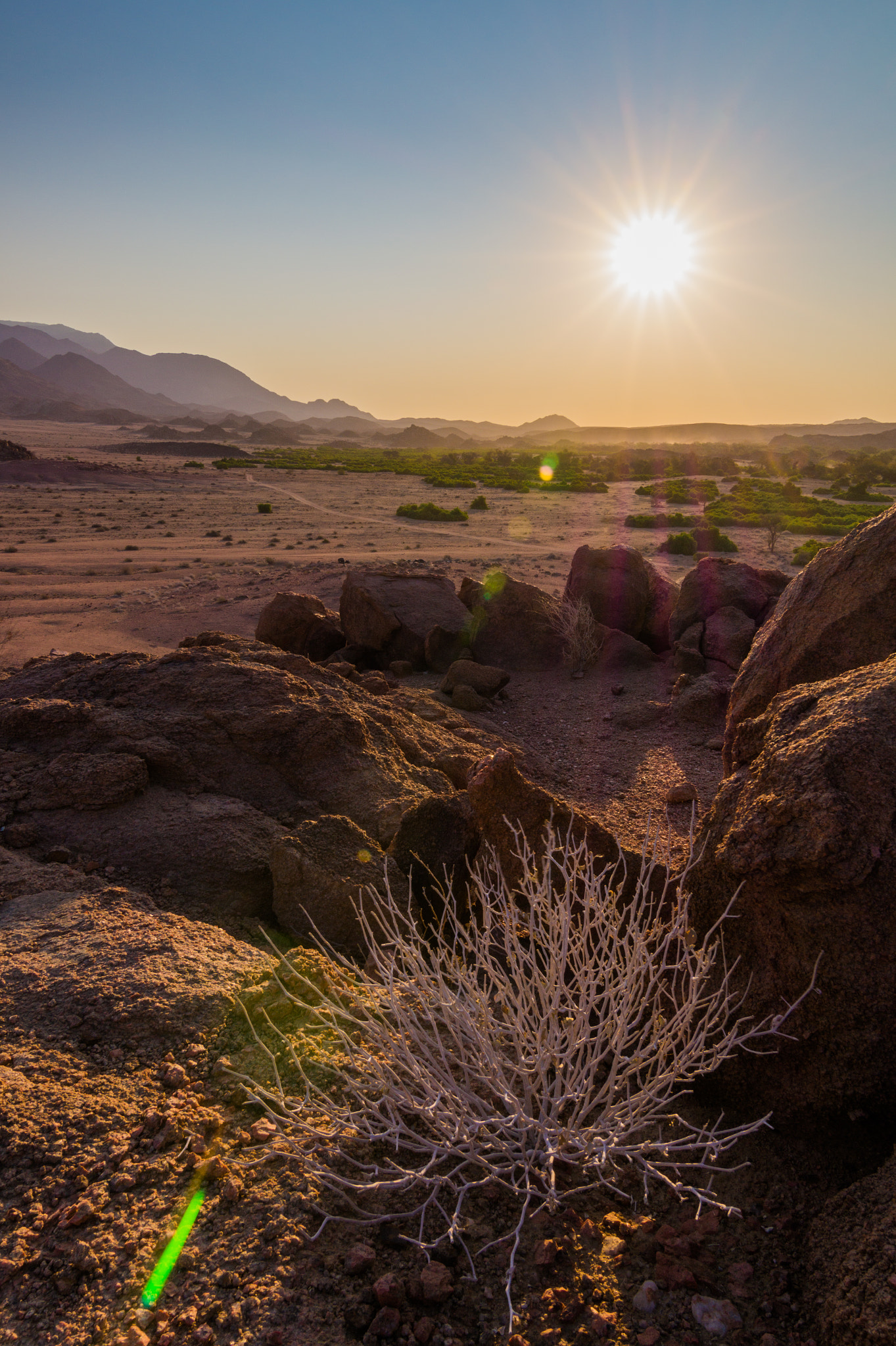 Sony SLT-A58 + 20mm F2.8 sample photo. Brandberg photography