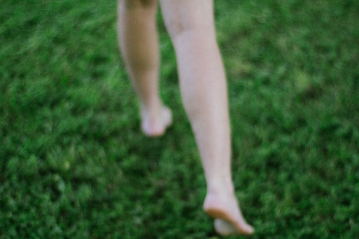 ZEISS Planar T* 50mm F1.4 sample photo. Forest photography