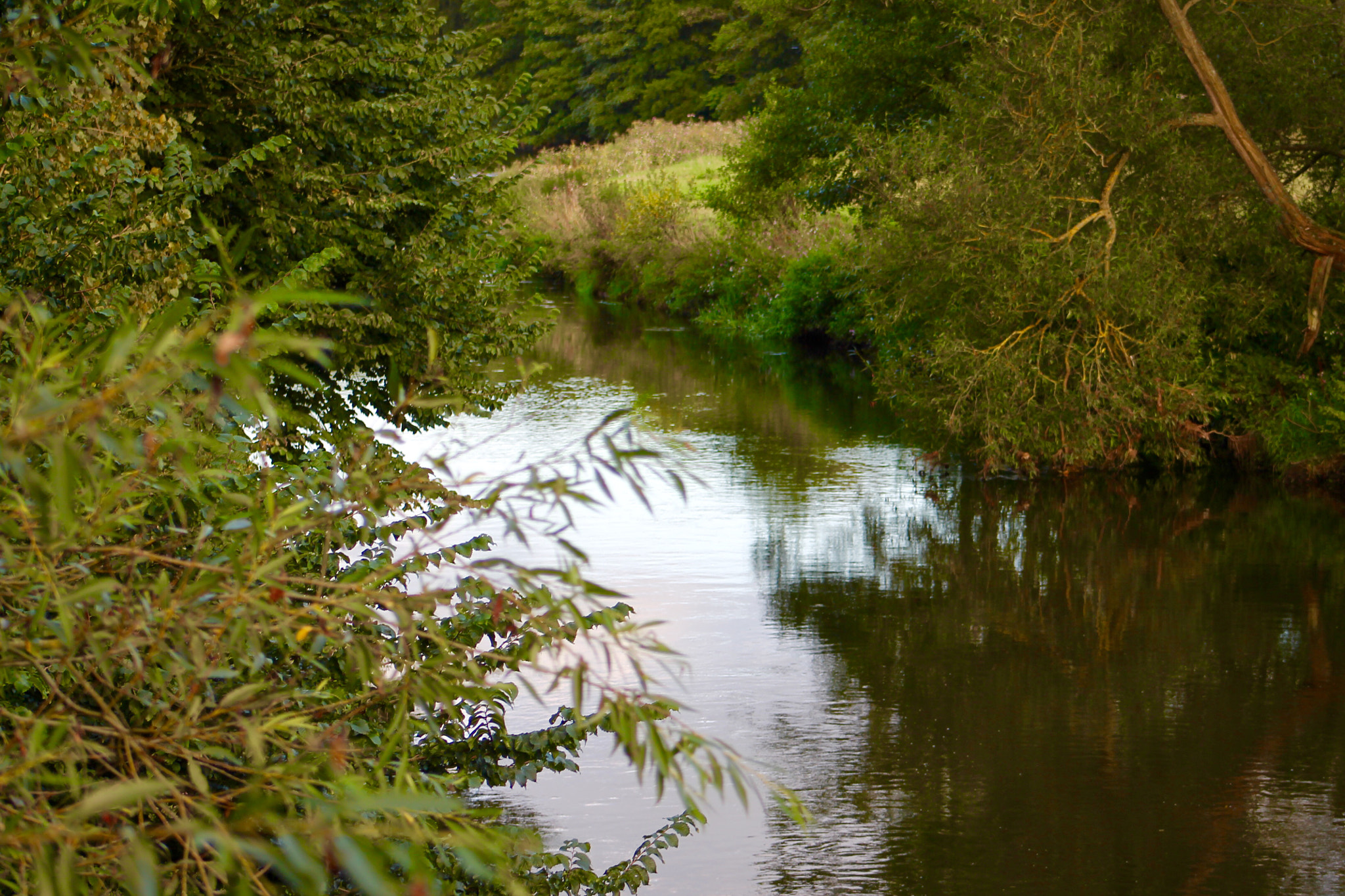 Canon EF75-300mm f/4-5.6 sample photo. Peacefull river trent gently steeling through little haywood photography