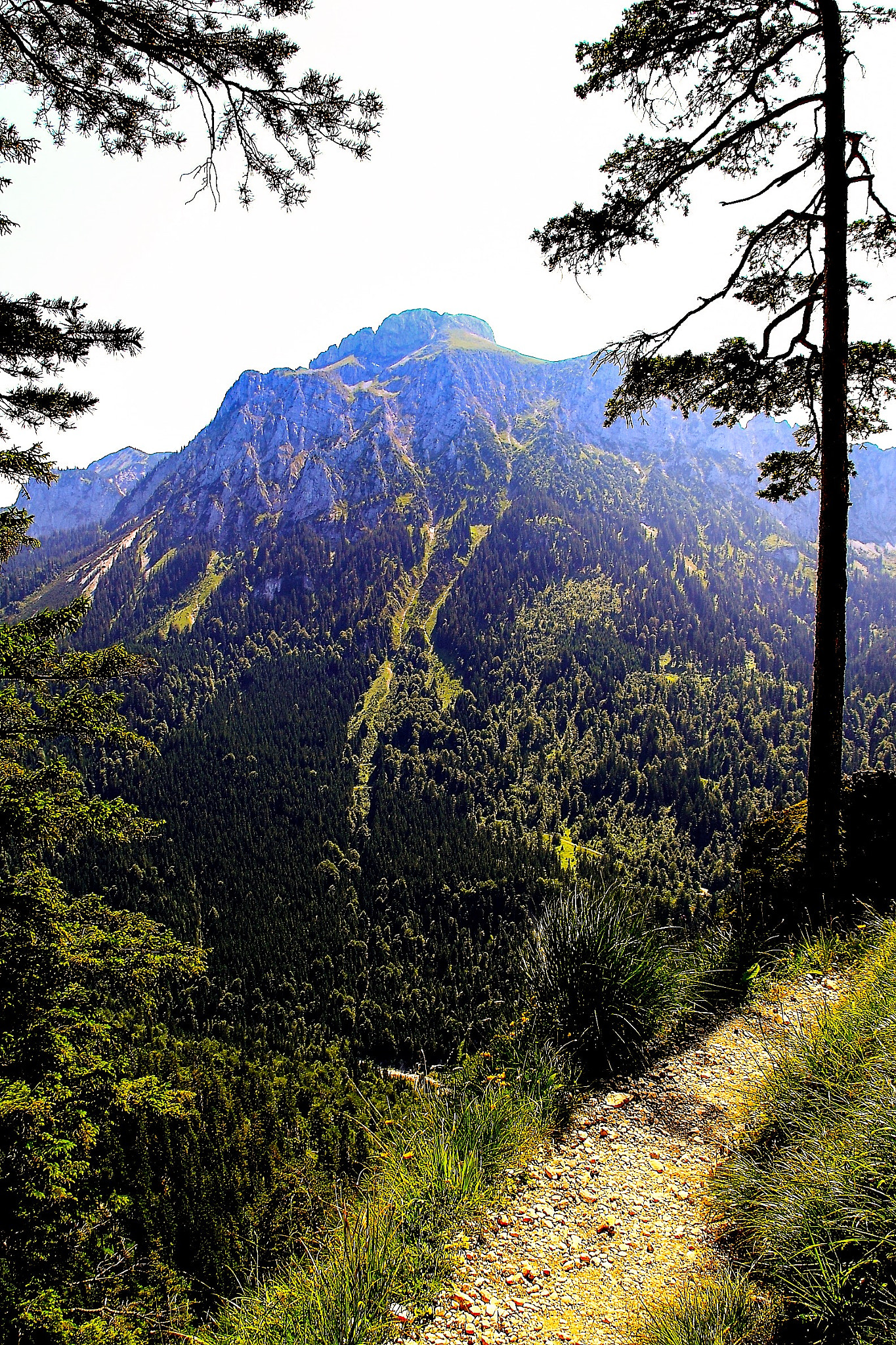 Canon 18-200mm sample photo. Hohenschwangau #3 photography