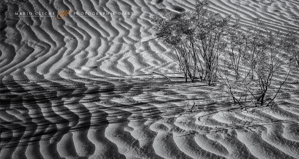 Canon EOS 5DS + Canon EF 24-70mm F2.8L USM sample photo. Ombres photography