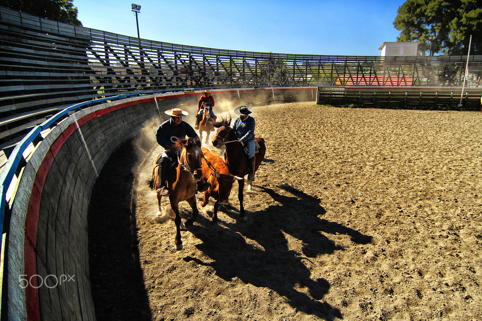 Tokina AT-X Pro 12-24mm F4 (IF) DX sample photo. Rodeo chanco © gaillphoto photography