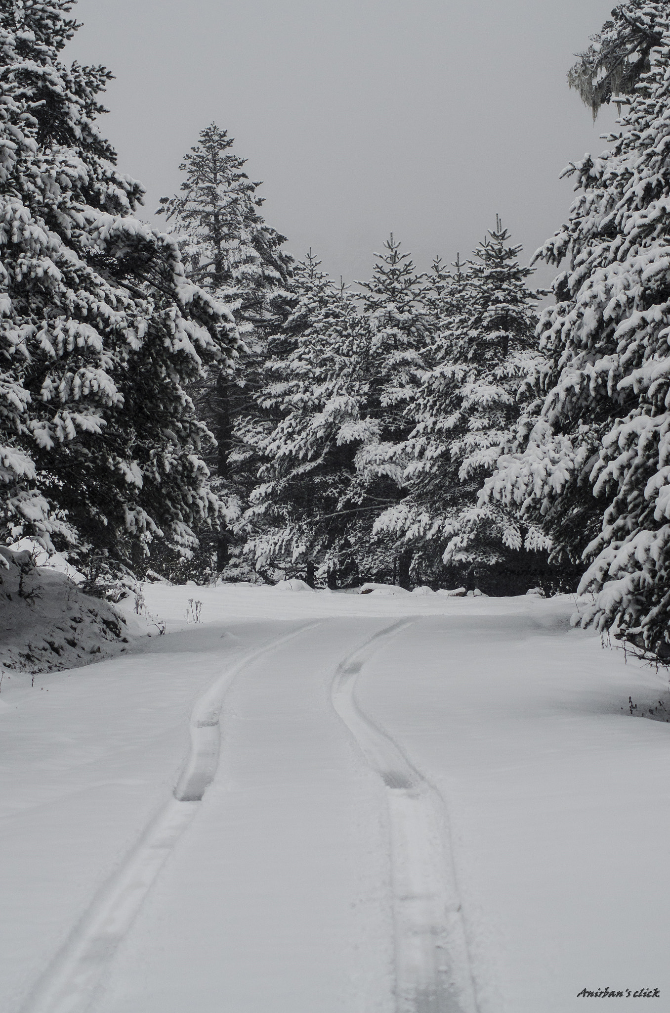 Nikon D7000 + Sigma 50-150mm F2.8 EX APO DC HSM II + 1.4x sample photo. The road to "iceland" photography