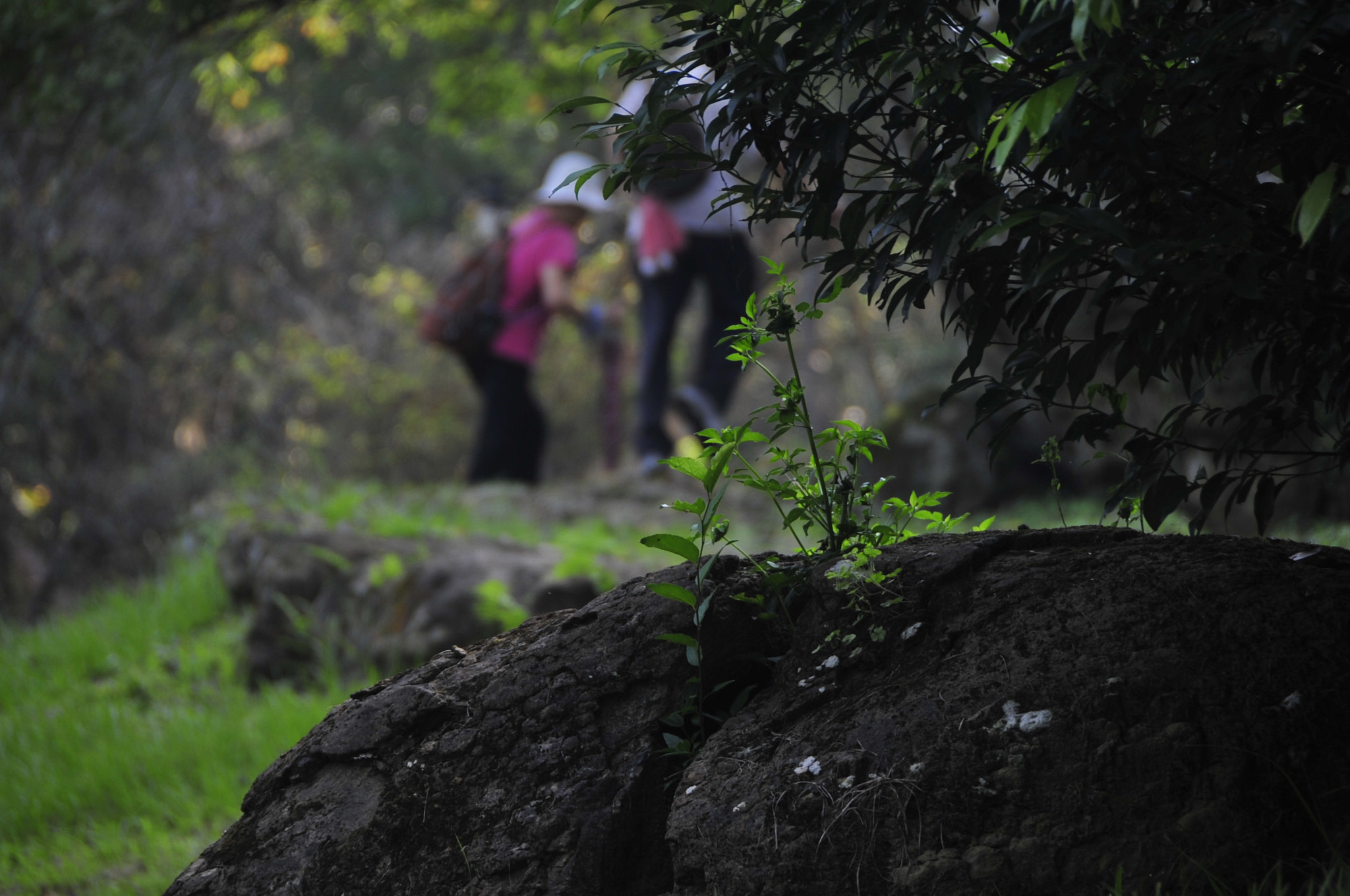 Nikon D3 sample photo. .. photography
