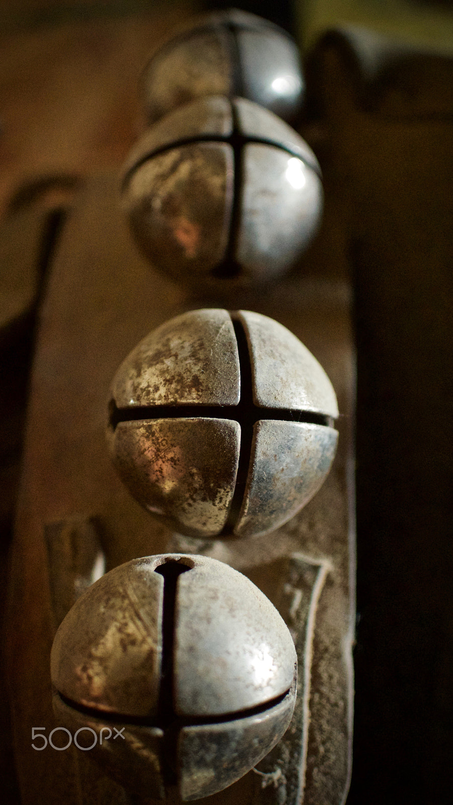 Nikon 1 J2 + Nikon 1 Nikkor 18.5mm F1.8 sample photo. Dusty harness bells photography